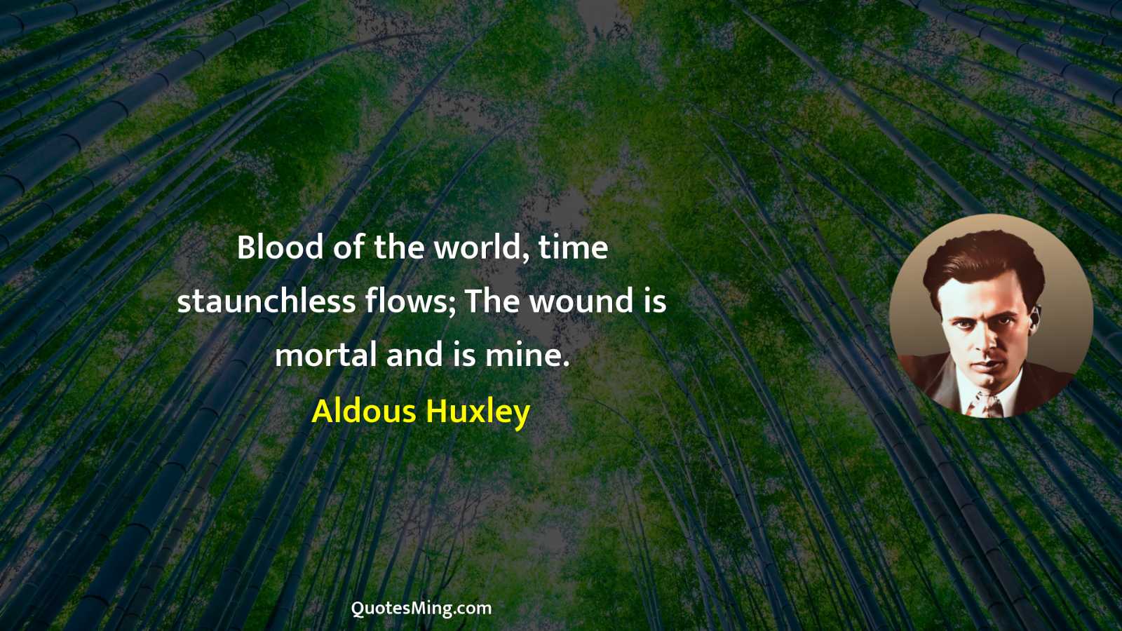 Blood of the world time staunchless flows; The wound is