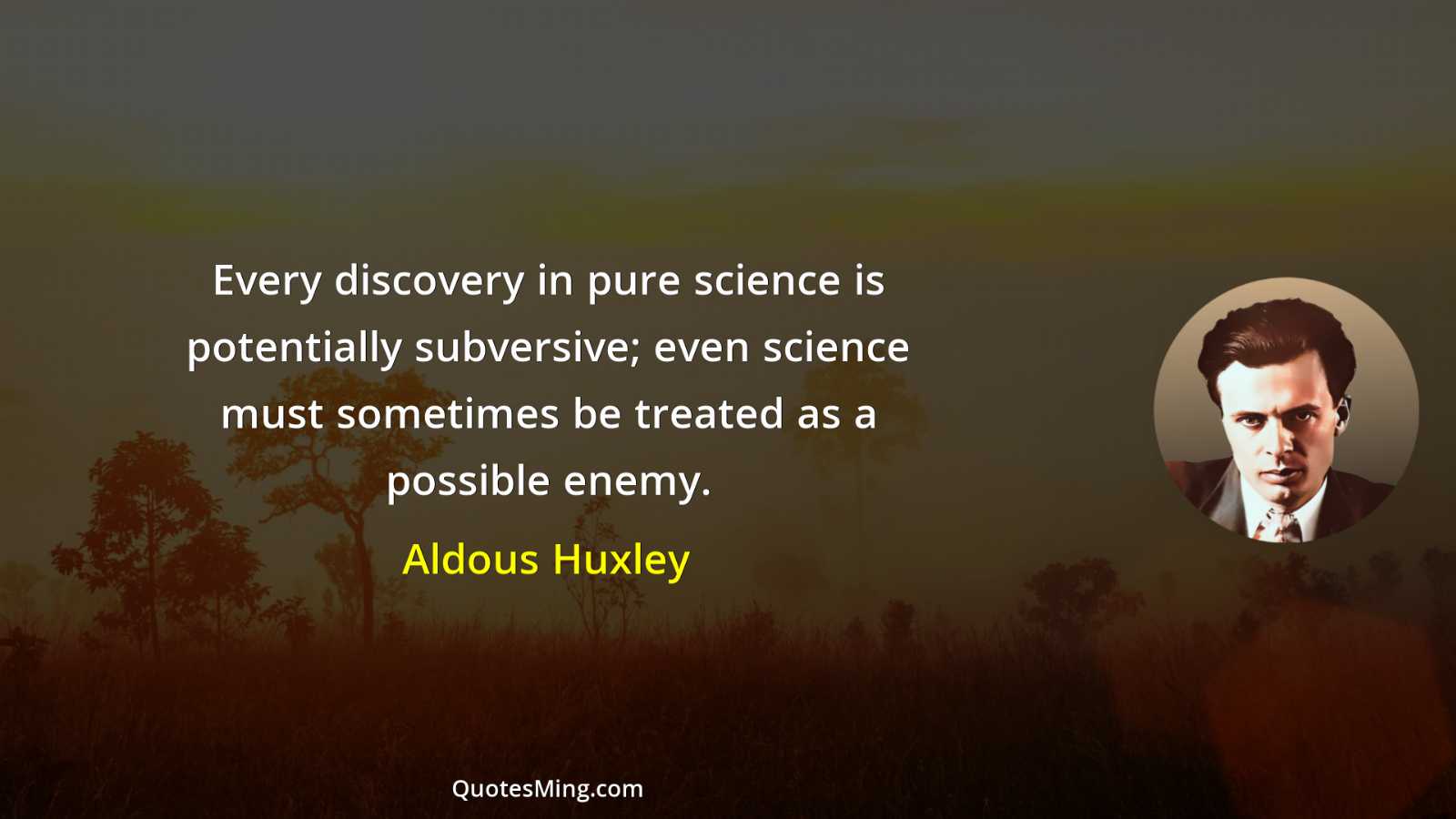 Every discovery in pure science is potentially subversive; even science