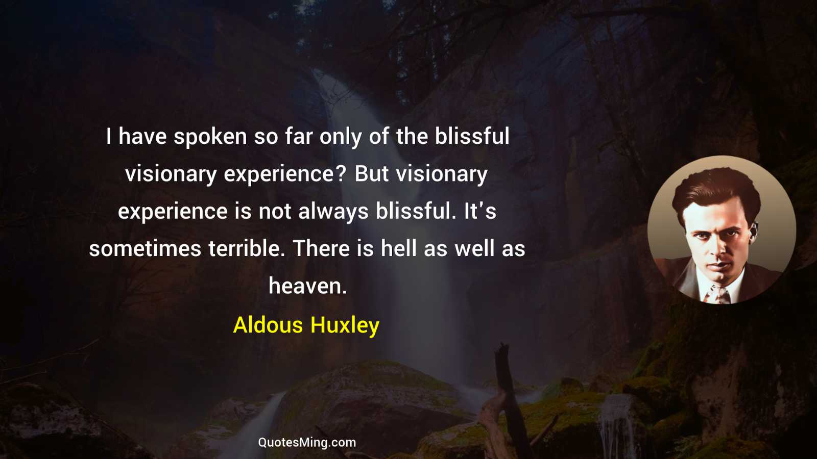 I have spoken so far only of the blissful visionary