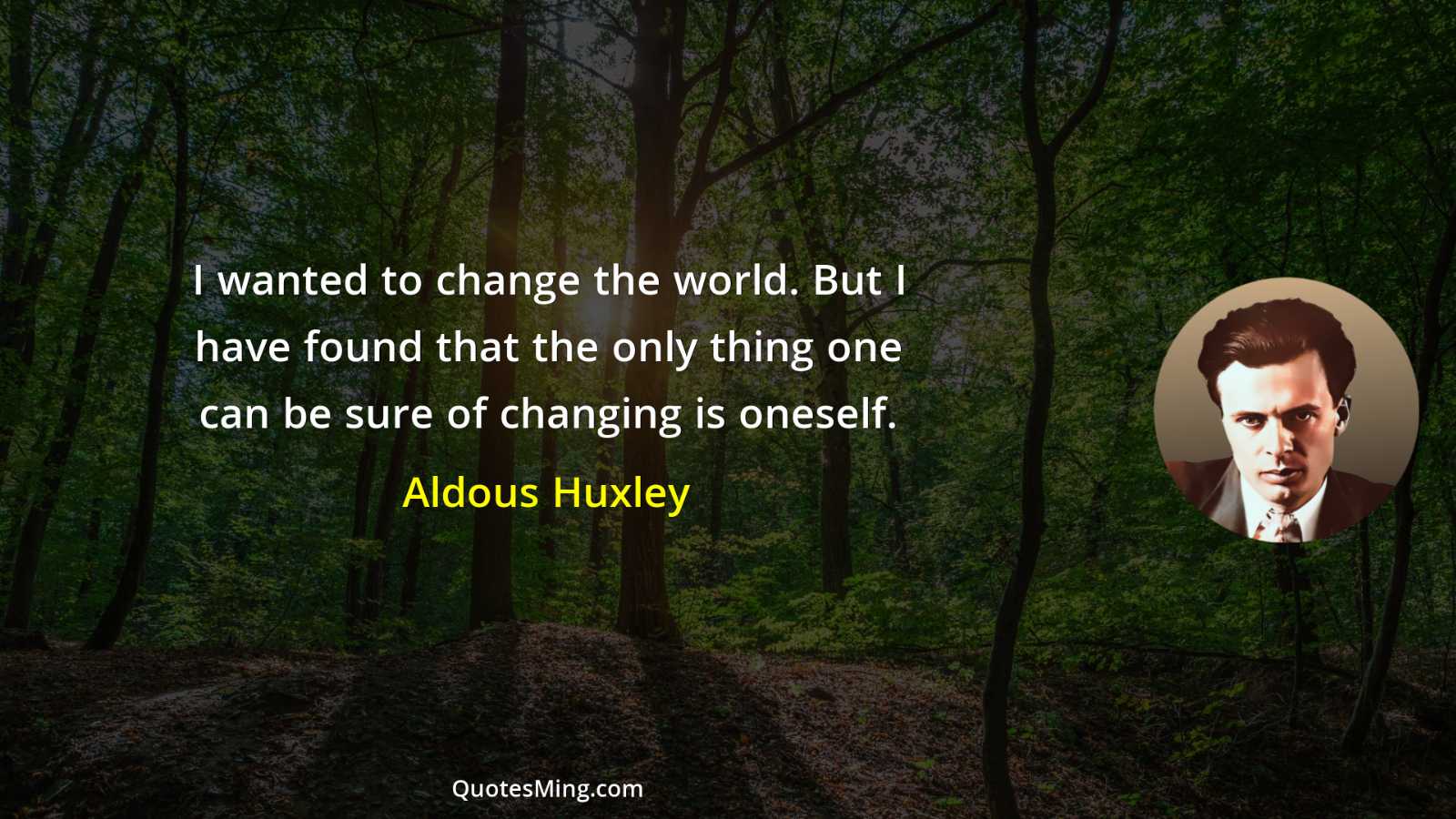 I wanted to change the world But I have found