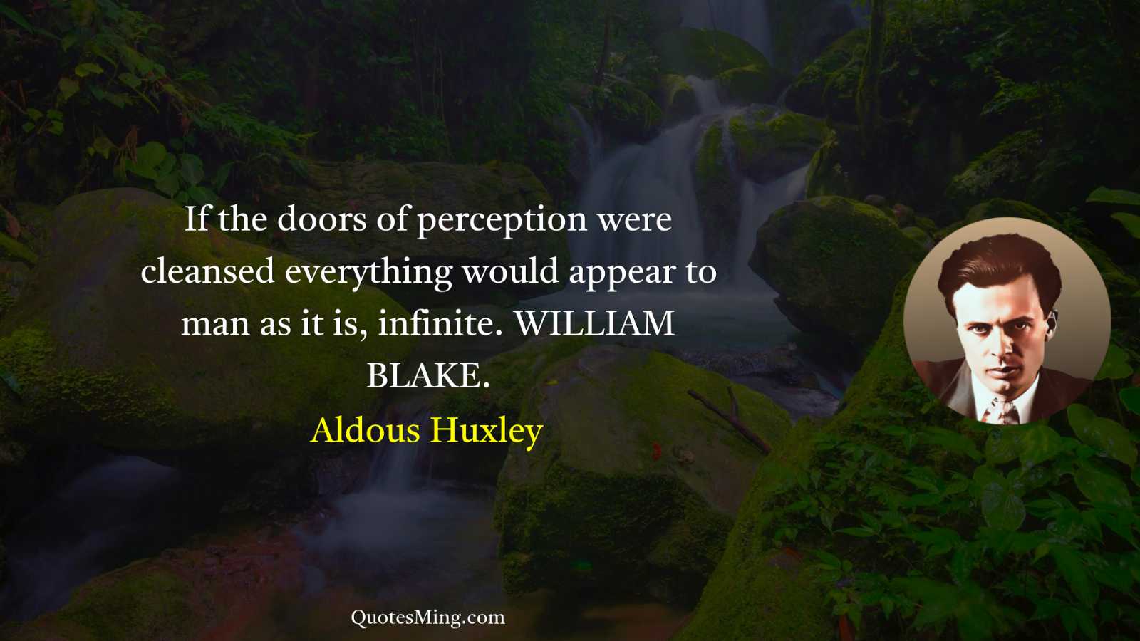 If the doors of perception were cleansed everything would appear