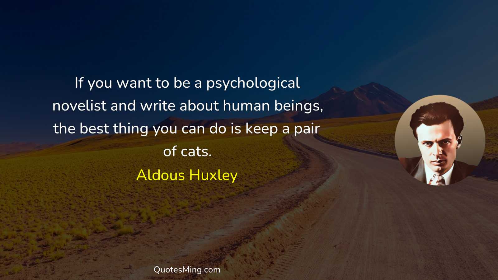 If you want to be a psychological novelist and write