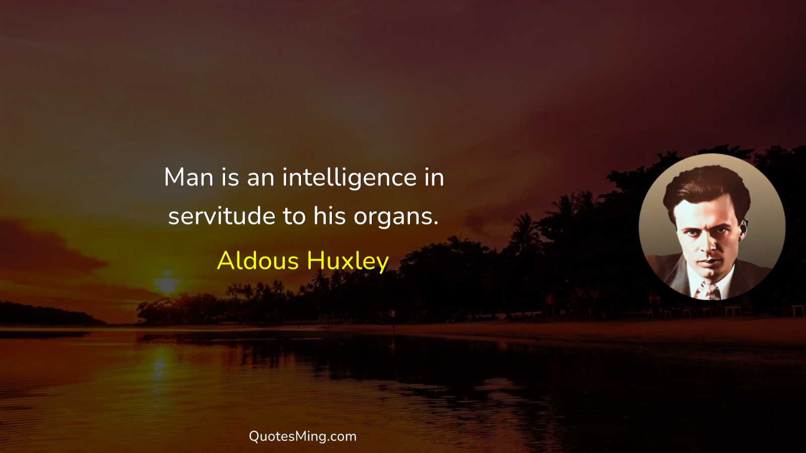 Man is an intelligence in servitude to his organs