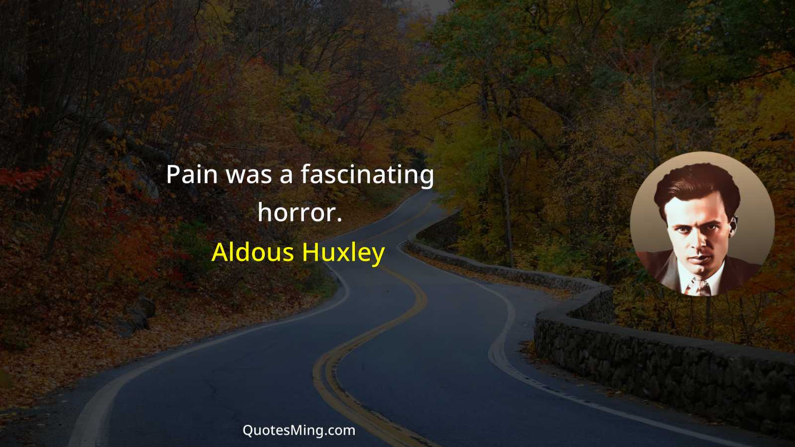 Pain was a fascinating horror