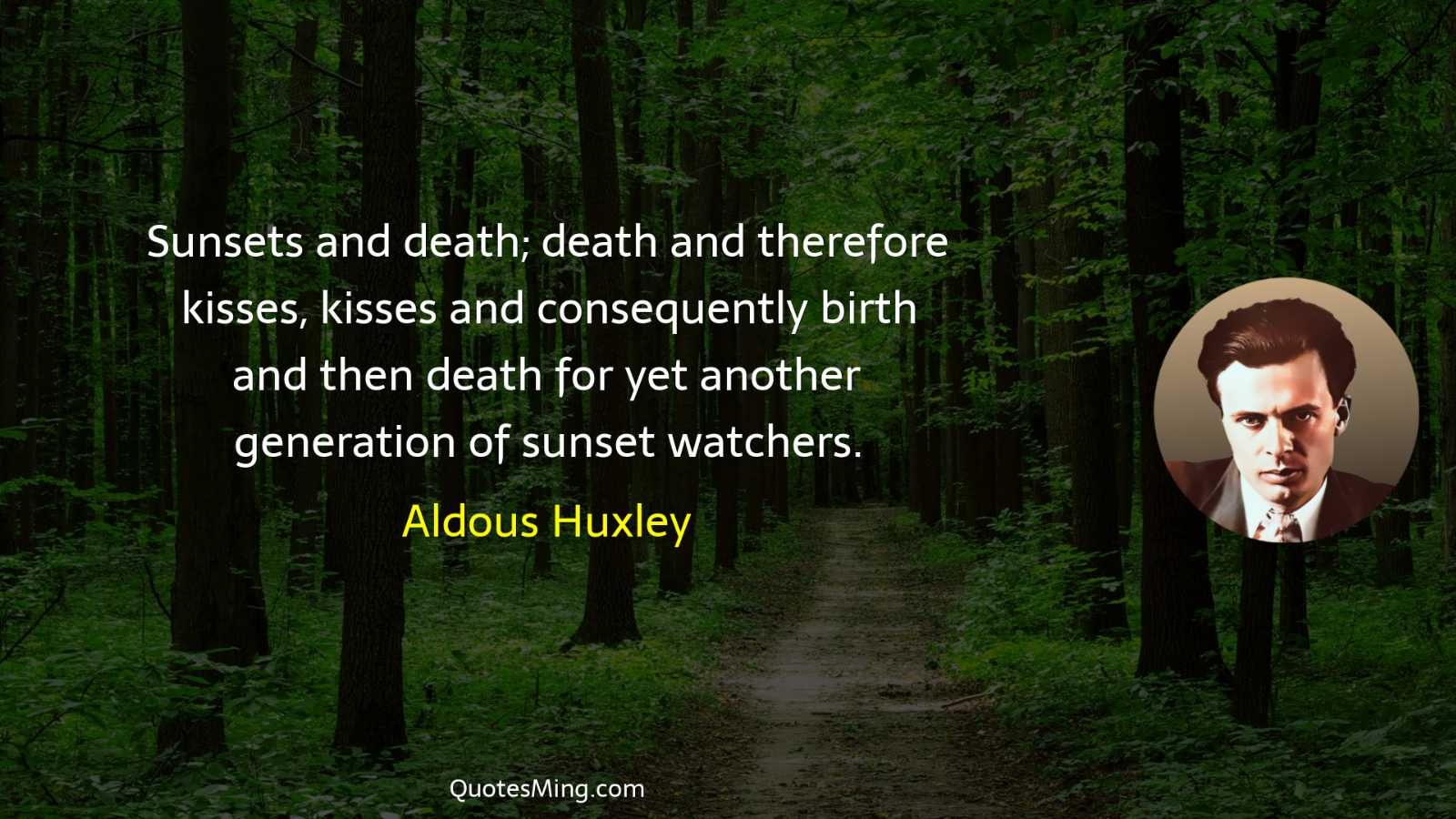 Sunsets and death; death and therefore kisses kisses and consequently