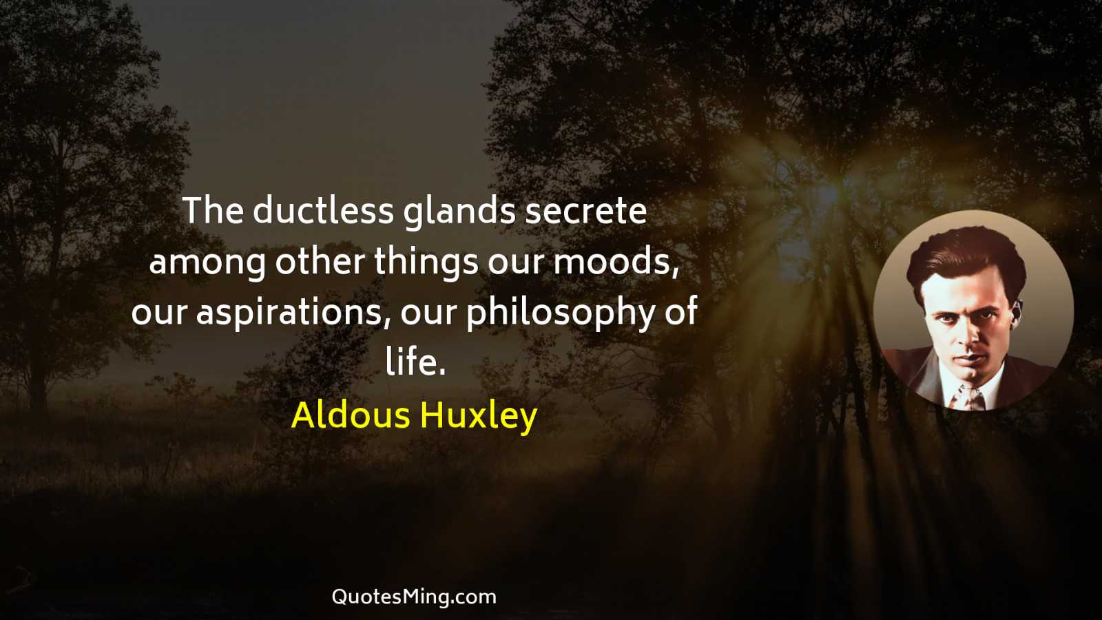 The ductless glands secrete among other things our moods our