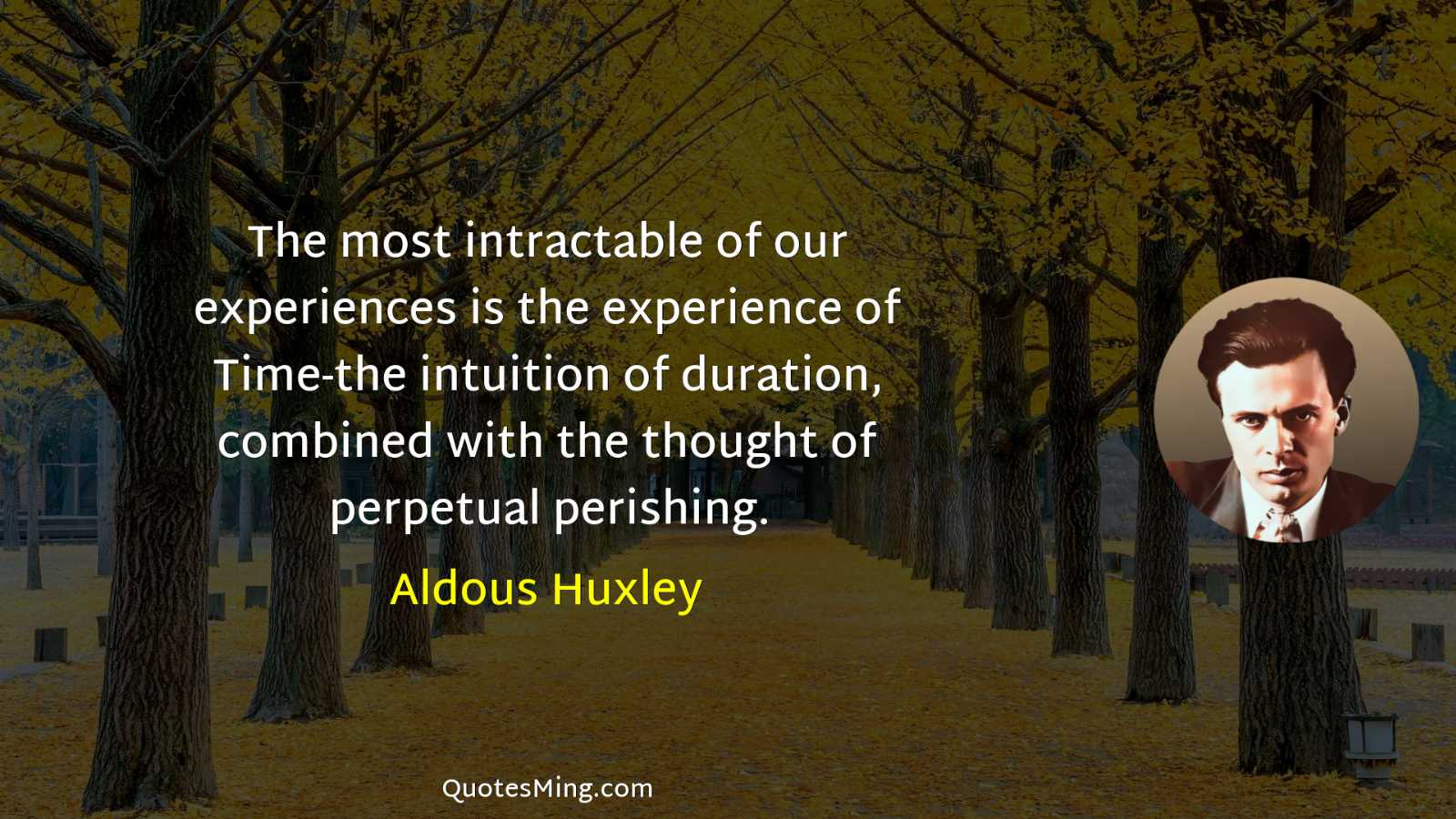 The most intractable of our experiences is the experience of