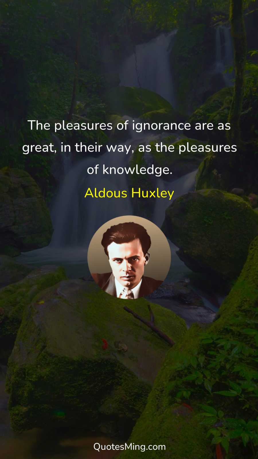 The pleasures of ignorance are as great in their way