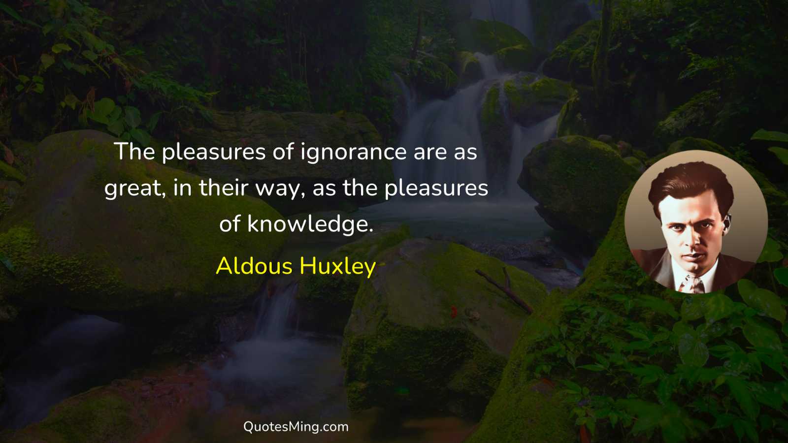 The pleasures of ignorance are as great in their way