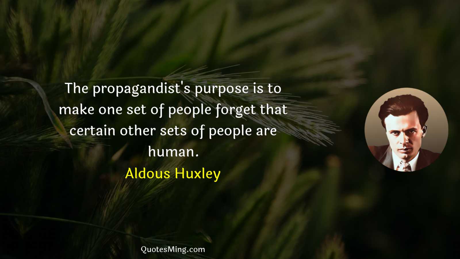 The propagandist's purpose is to make one set of people