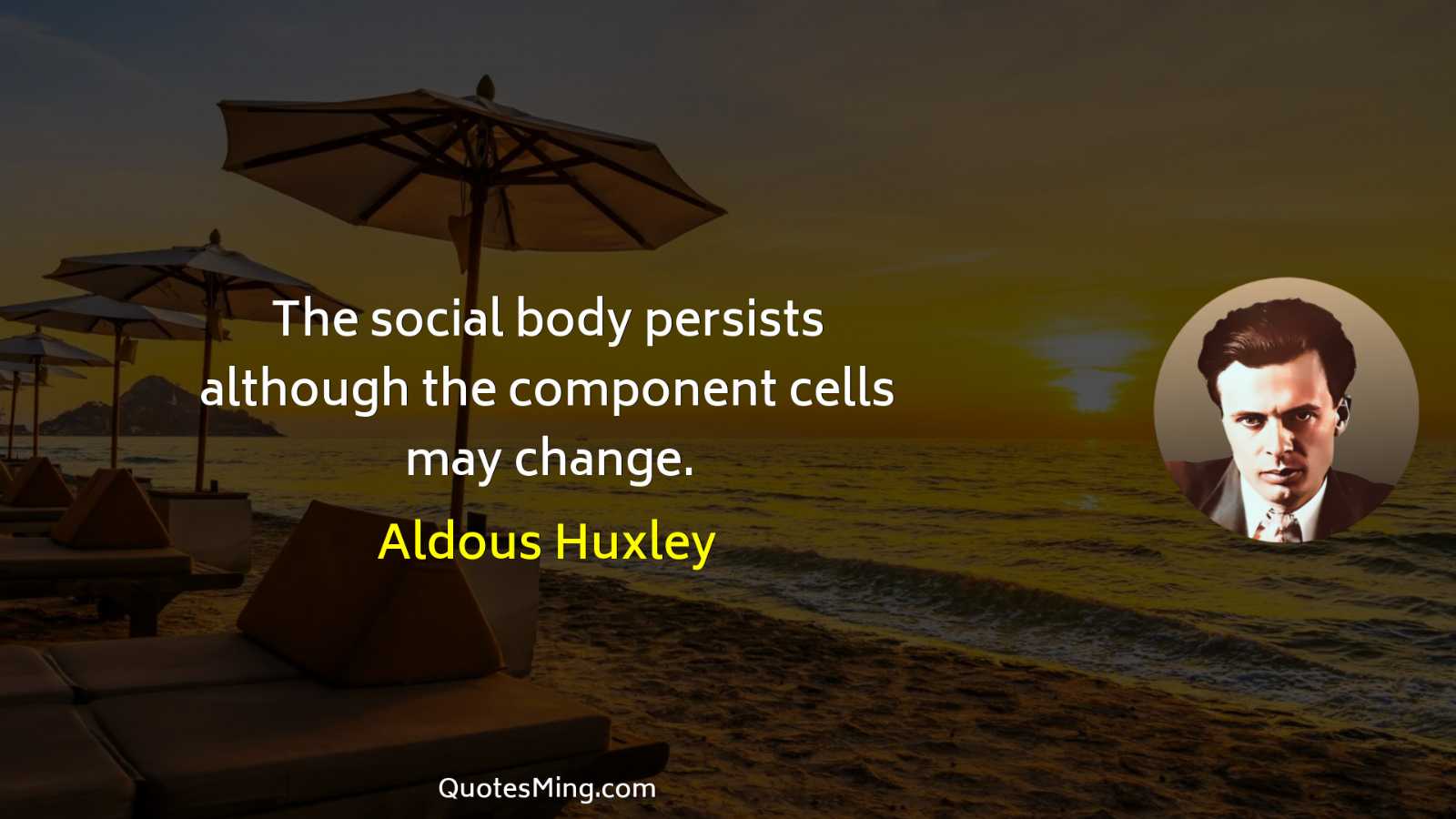 The social body persists although the component cells may change