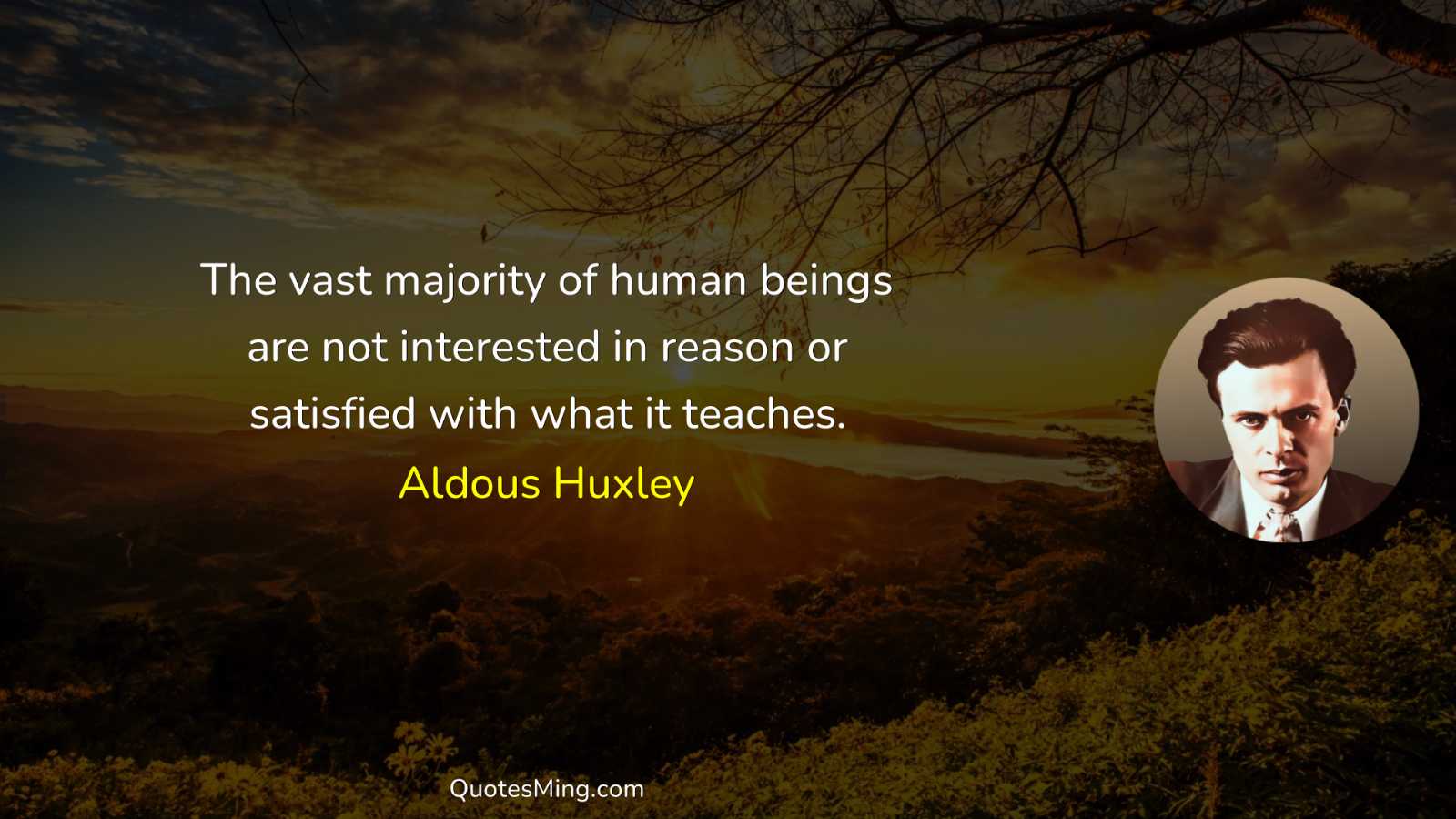 The vast majority of human beings are not interested in