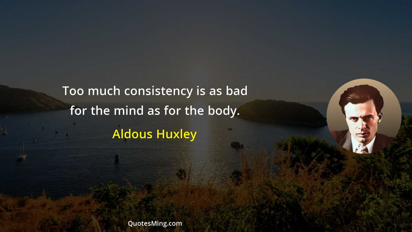 Too much consistency is as bad for the mind as