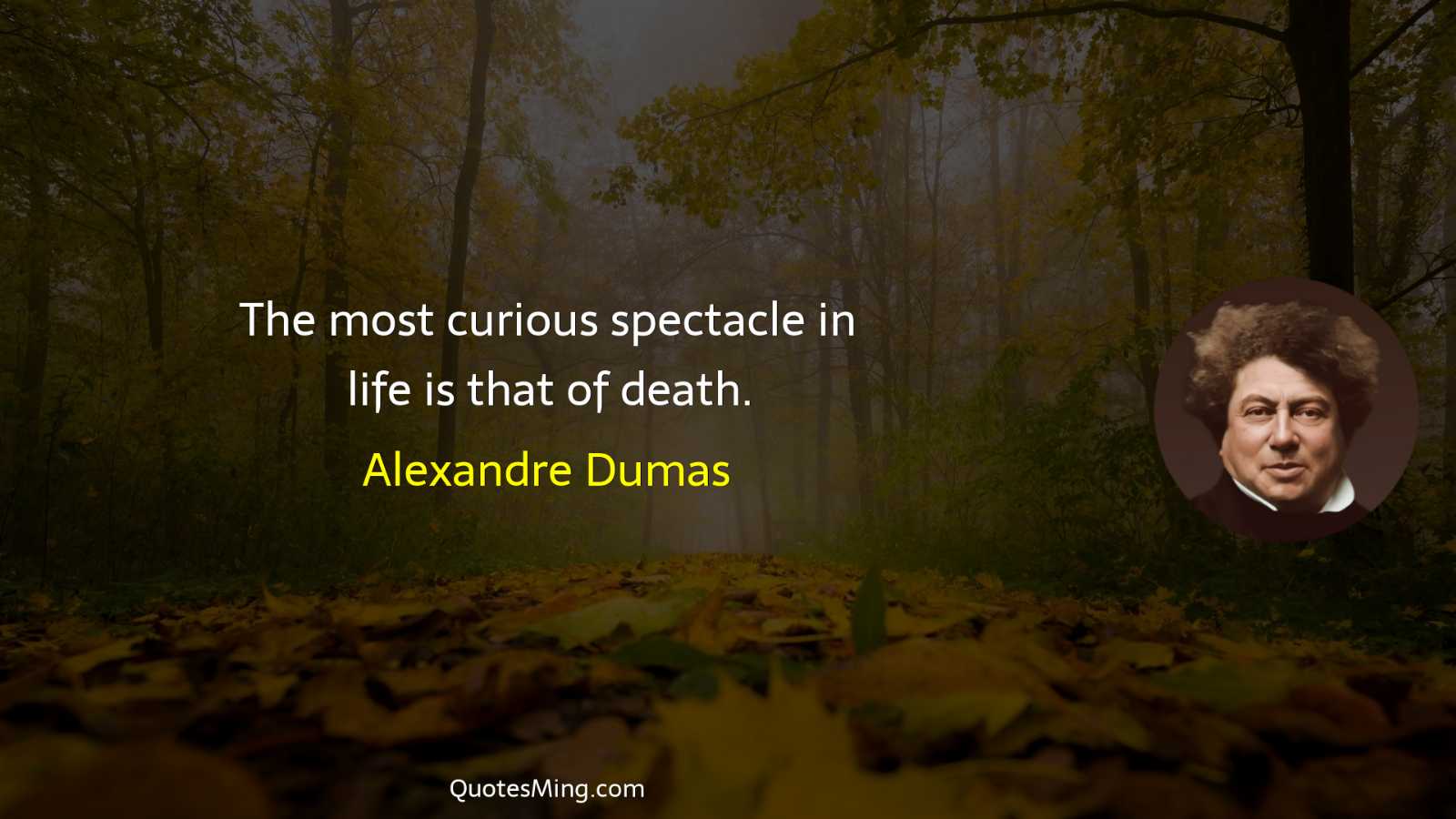 The most curious spectacle in life is that of death