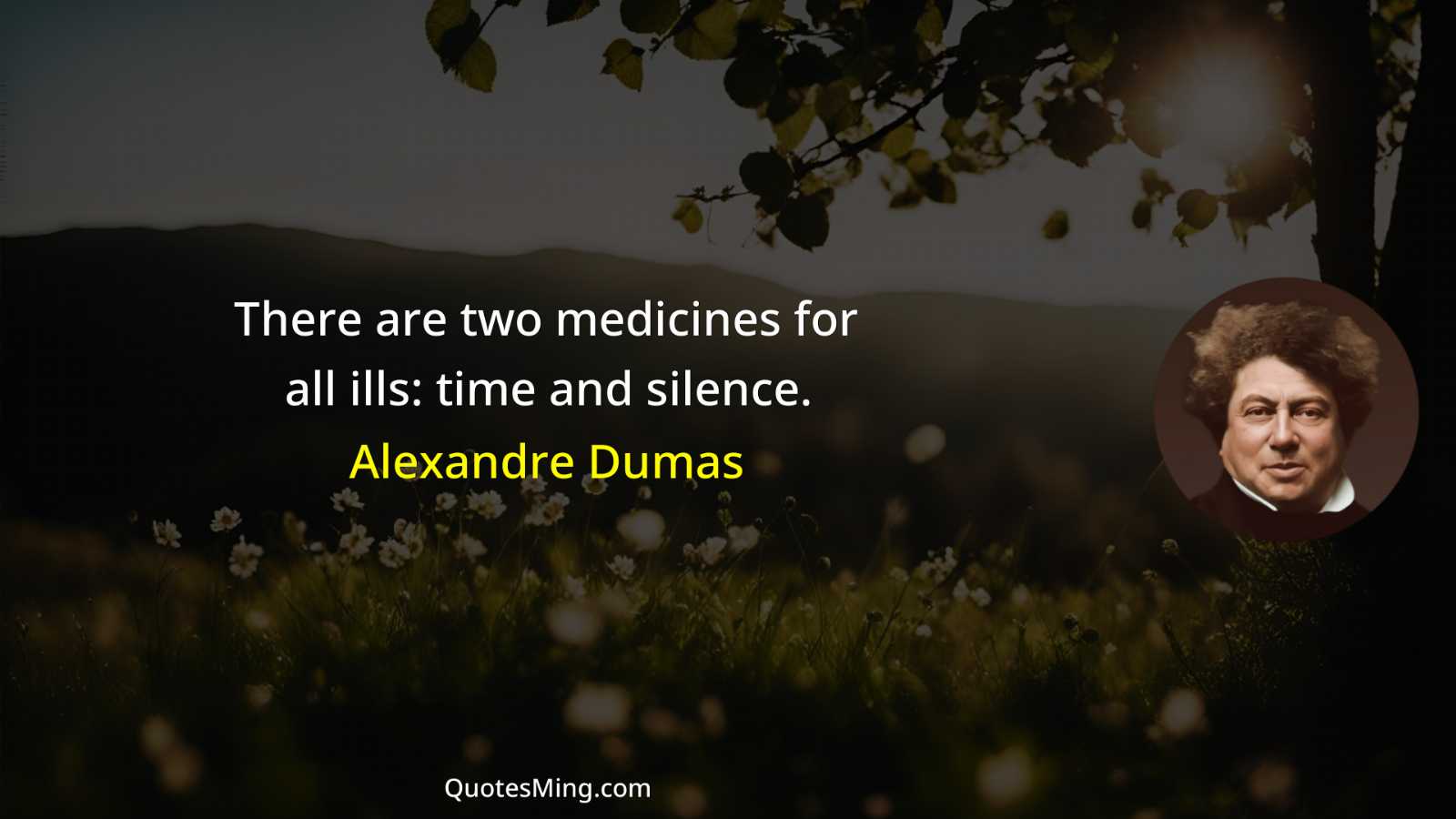 There are two medicines for all ills: time and silence