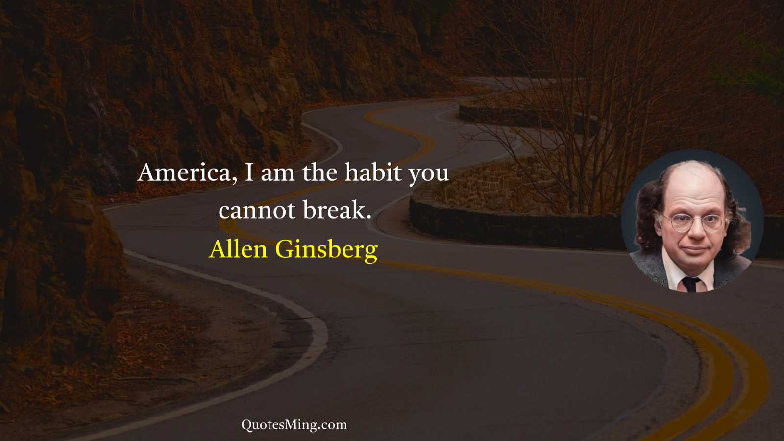 America I am the habit you cannot break