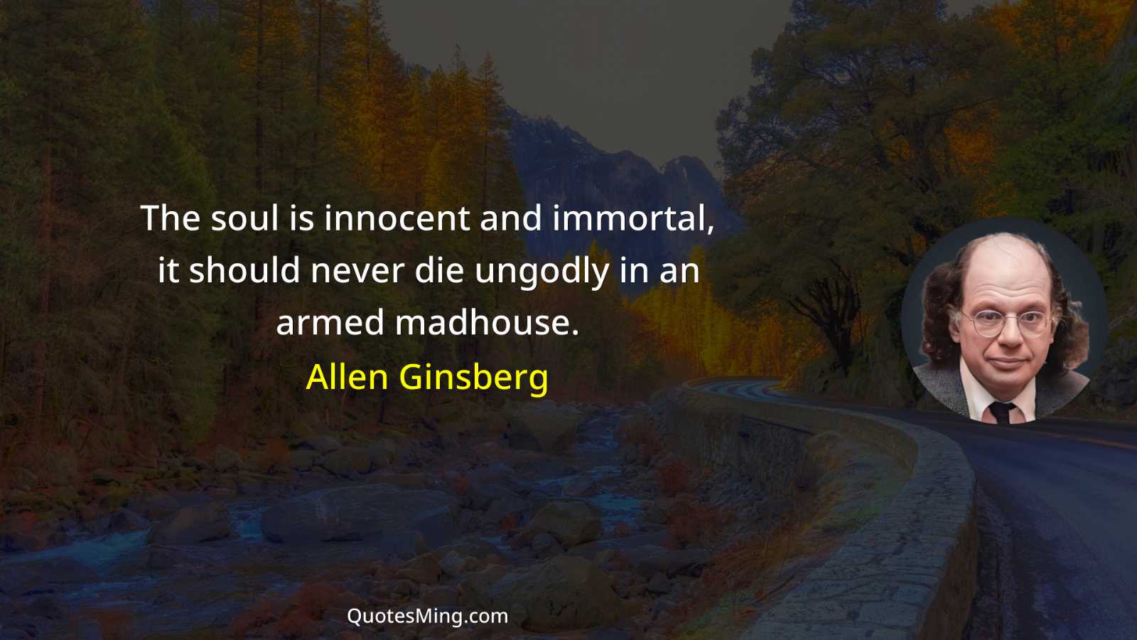 The soul is innocent and immortal it should never die