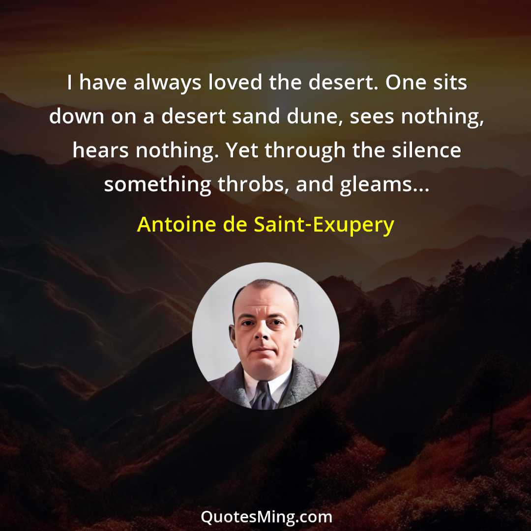 I have always loved the desert One sits down on