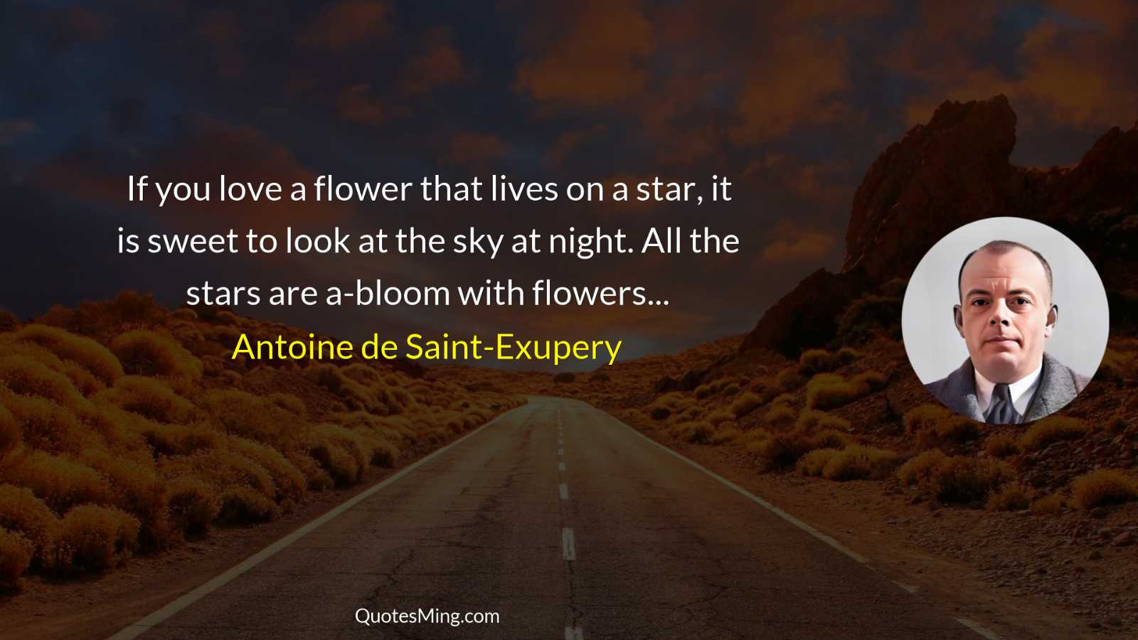 If you love a flower that lives on a star