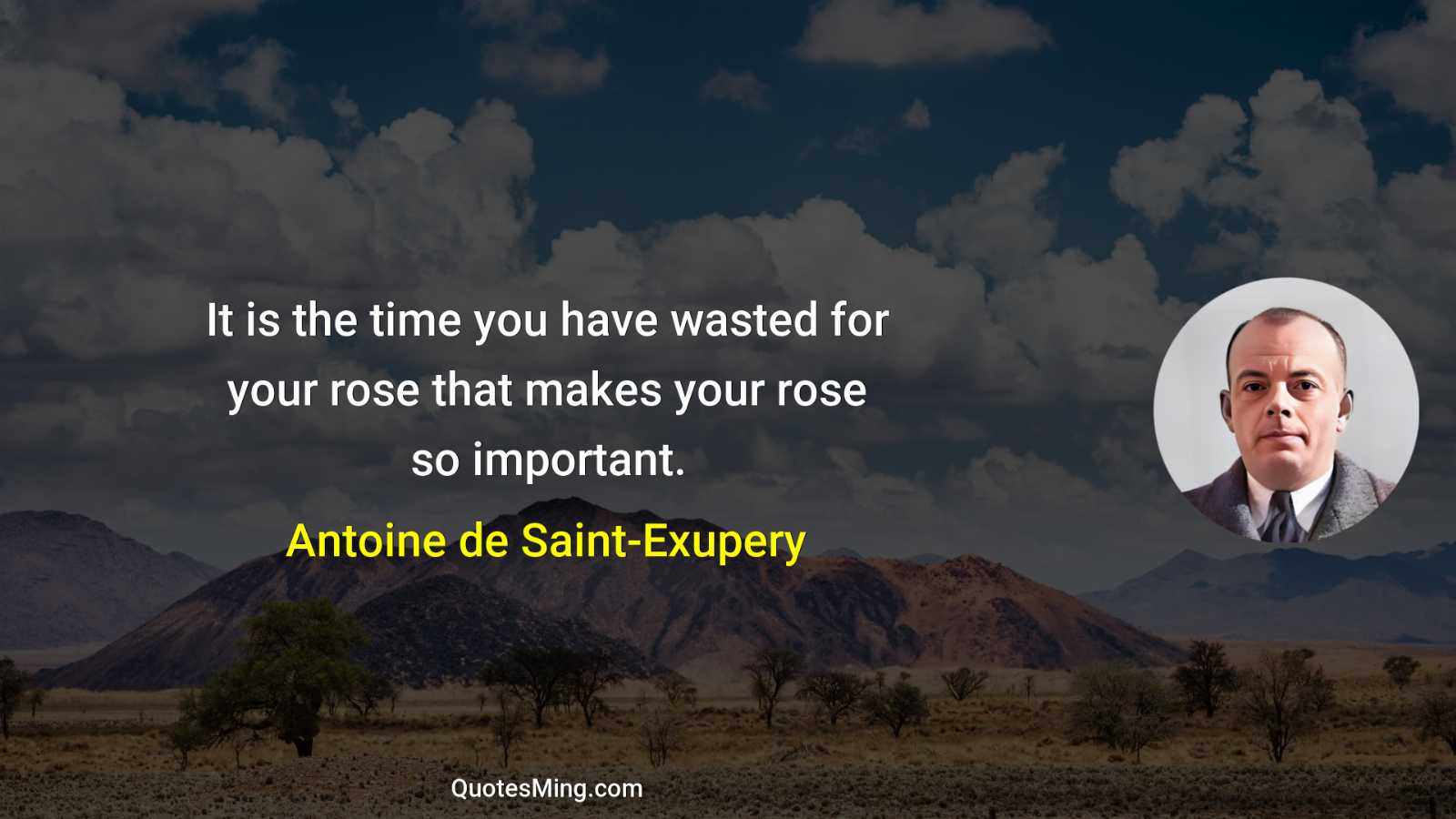 It is the time you have wasted for your rose