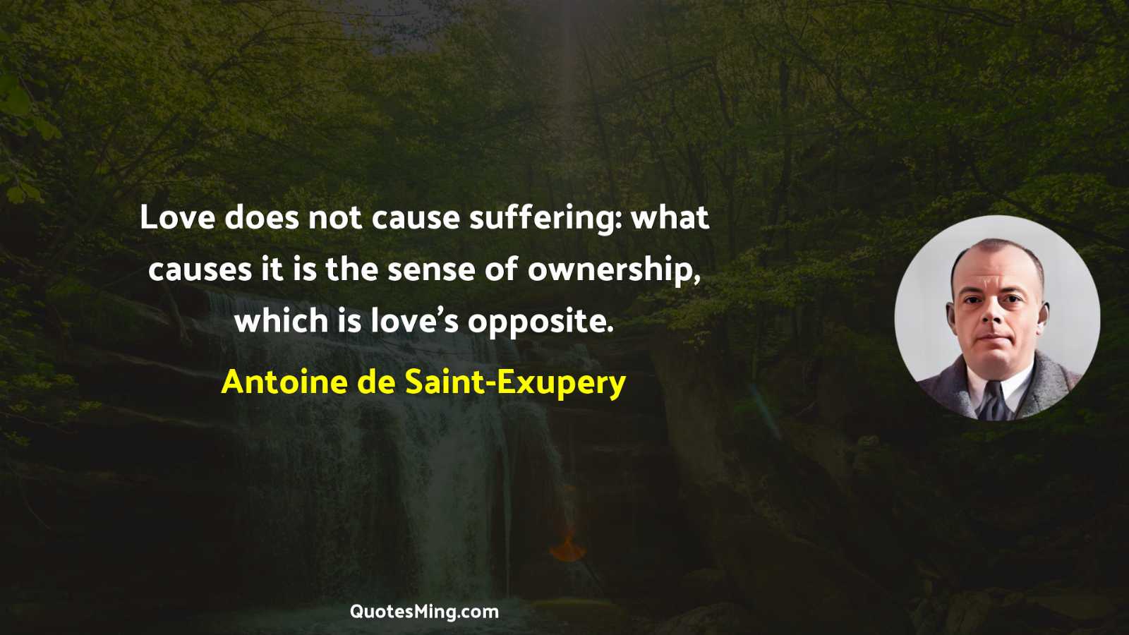 Love does not cause suffering: what causes it is the