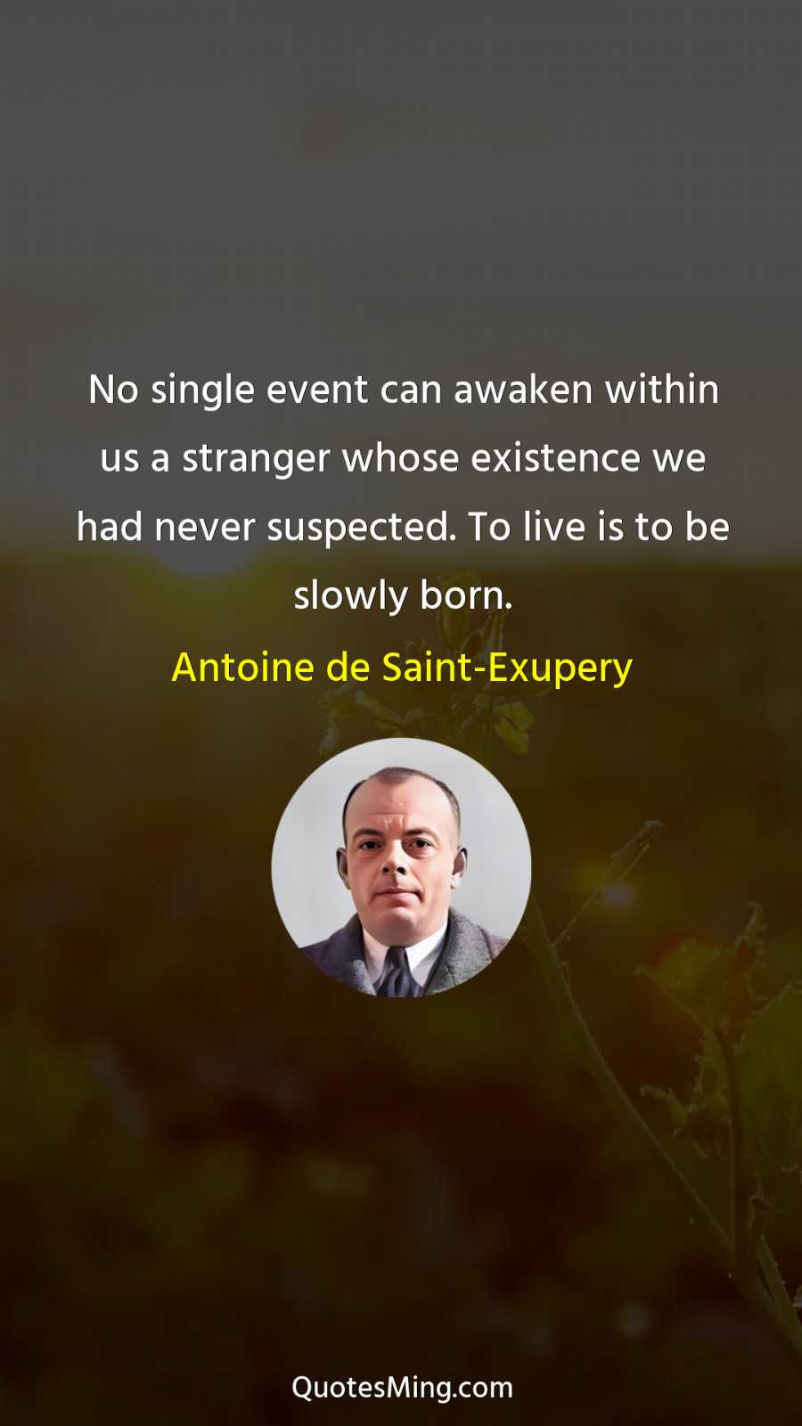 No single event can awaken within us a stranger whose