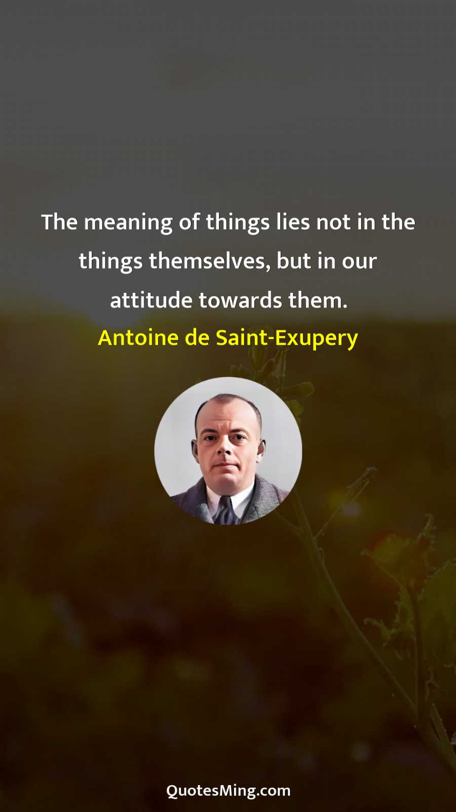 The meaning of things lies not in the things themselves