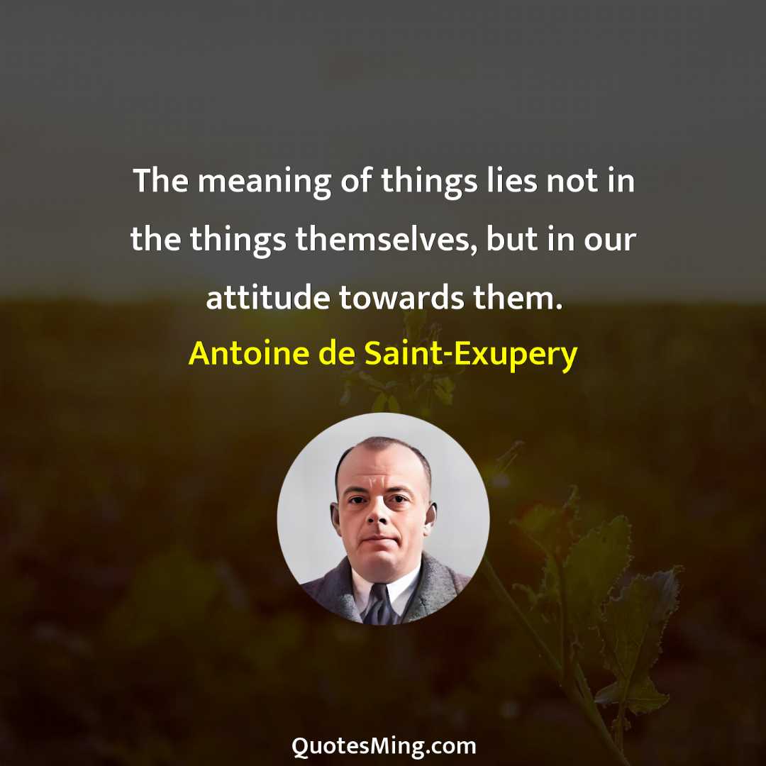 The meaning of things lies not in the things themselves