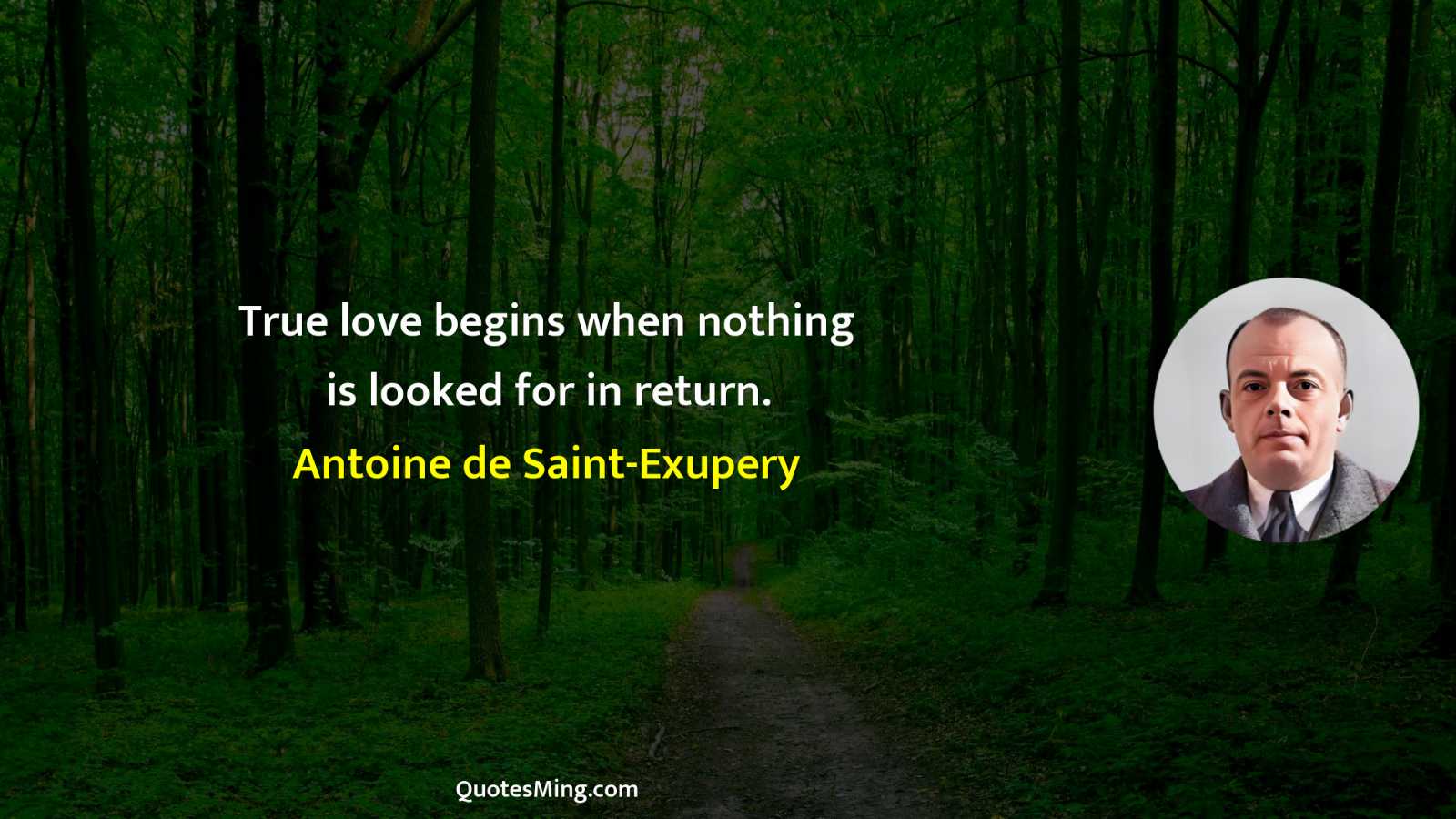 True love begins when nothing is looked for in return