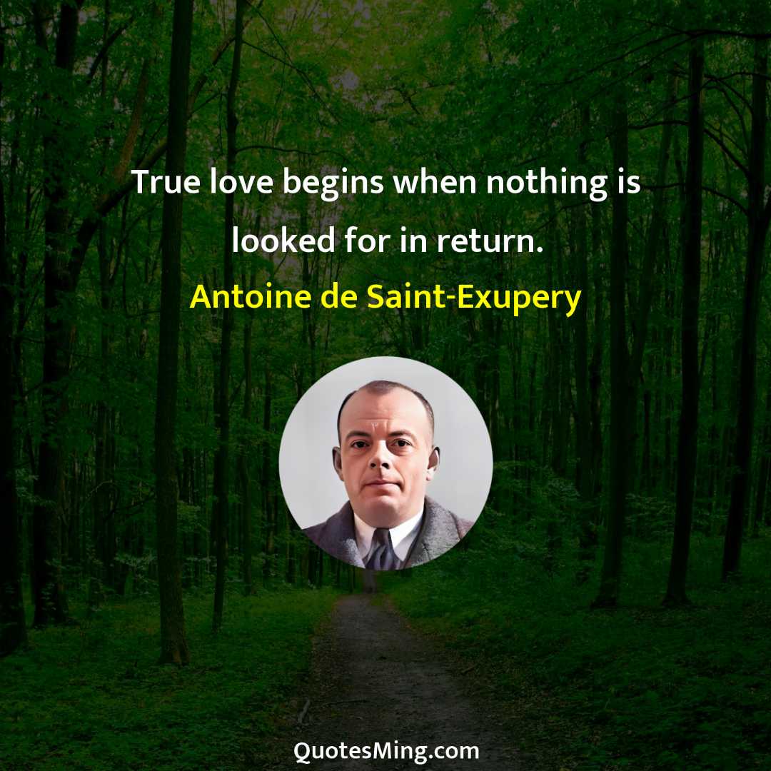 True love begins when nothing is looked for in return