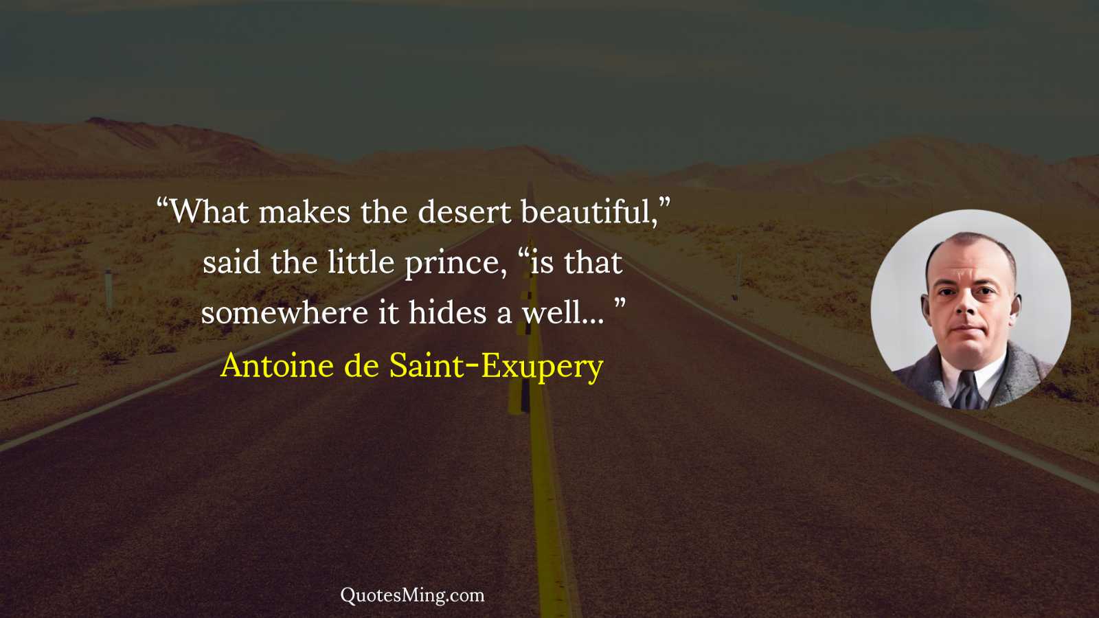 “What makes the desert beautiful” said the little prince “is