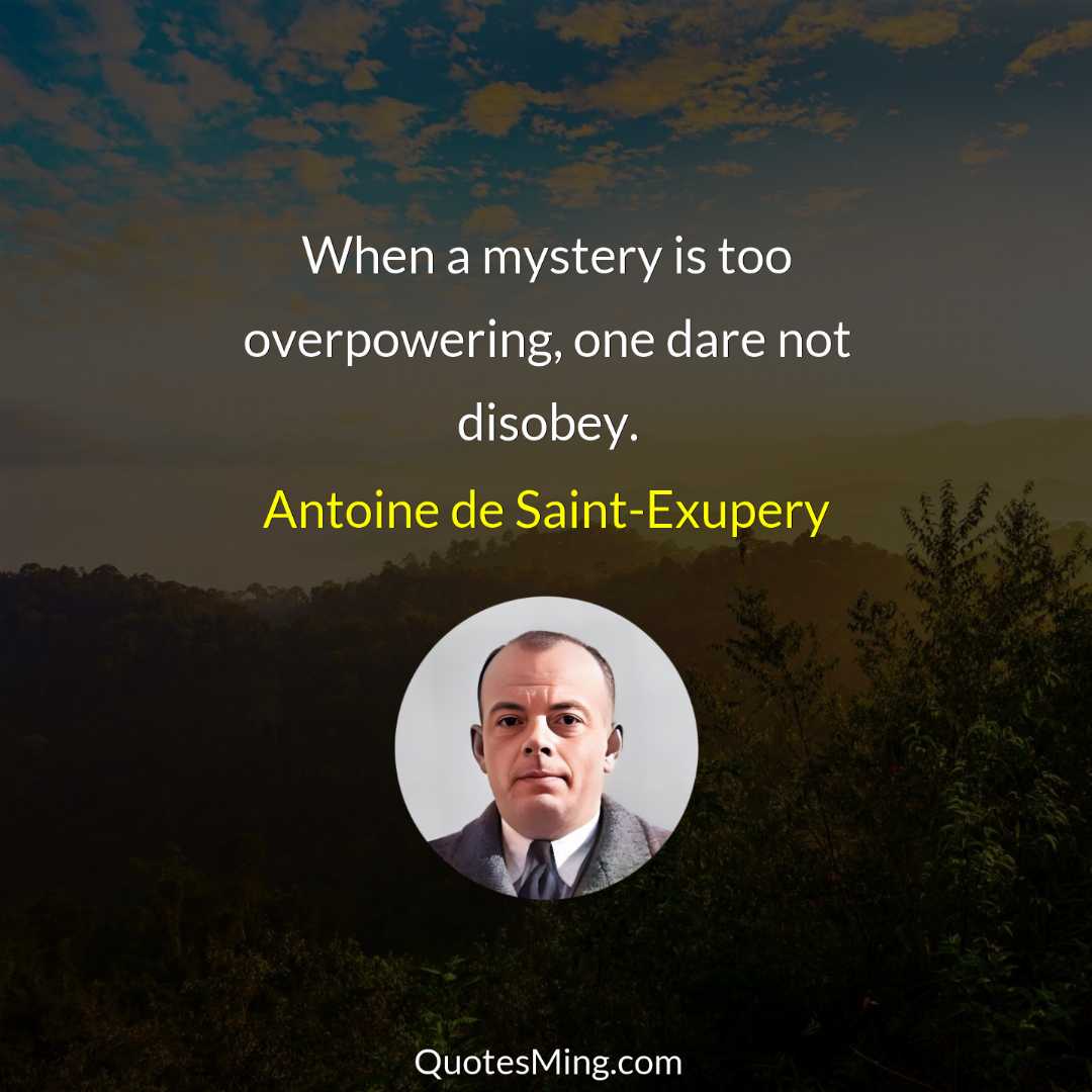 When a mystery is too overpowering one dare not disobey