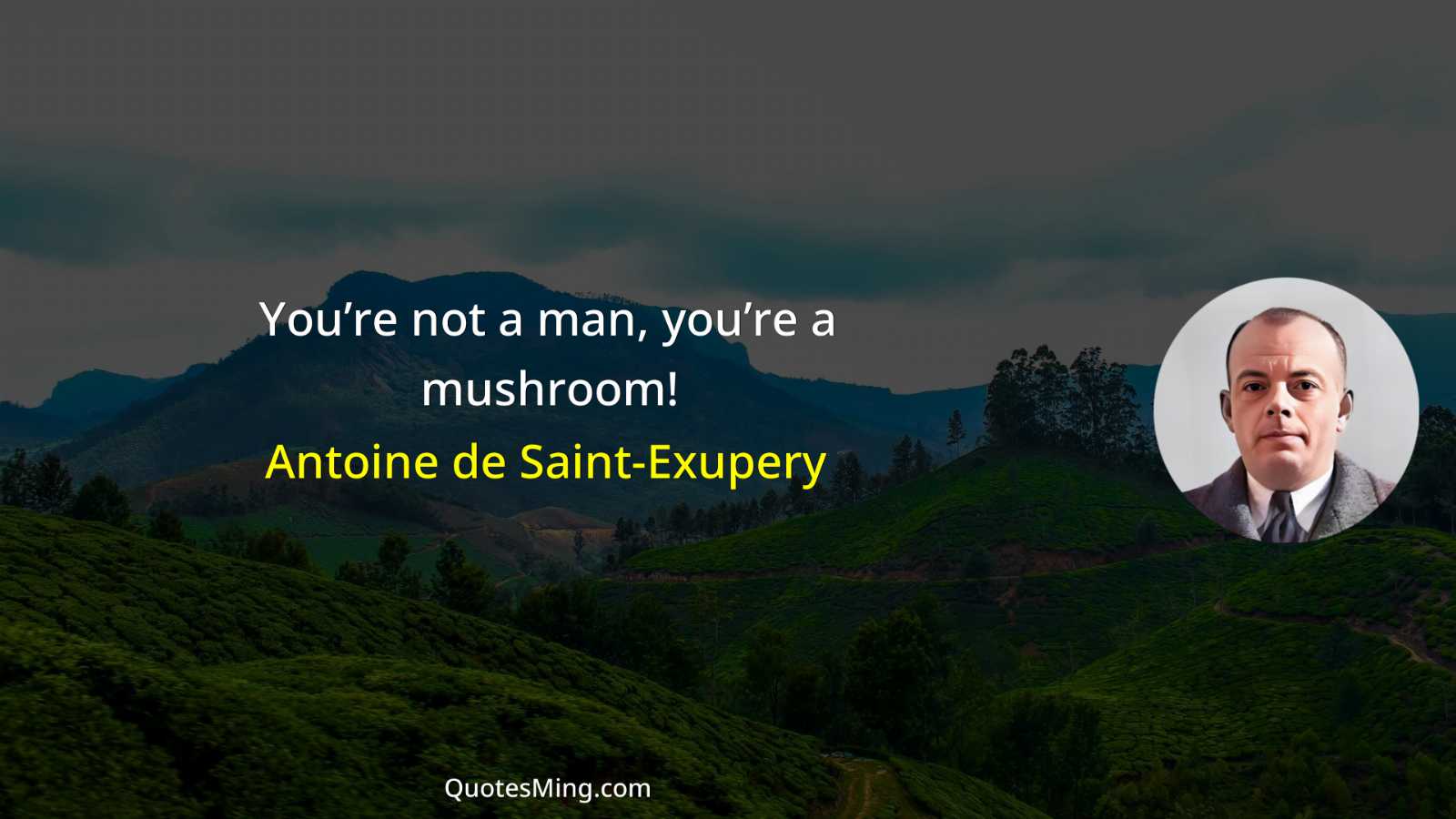 You’re not a man you’re a mushroom