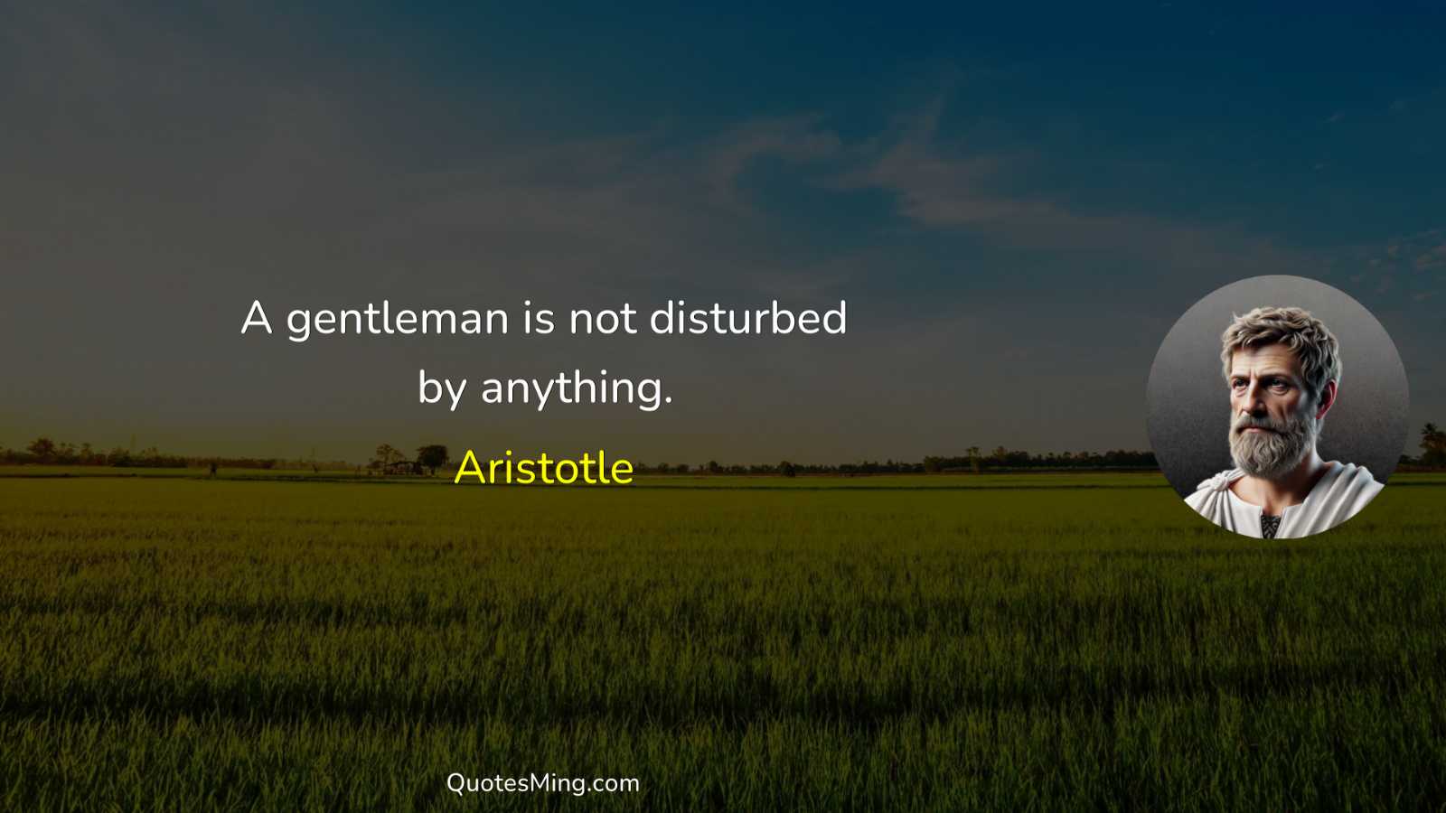 A gentleman is not disturbed by anything