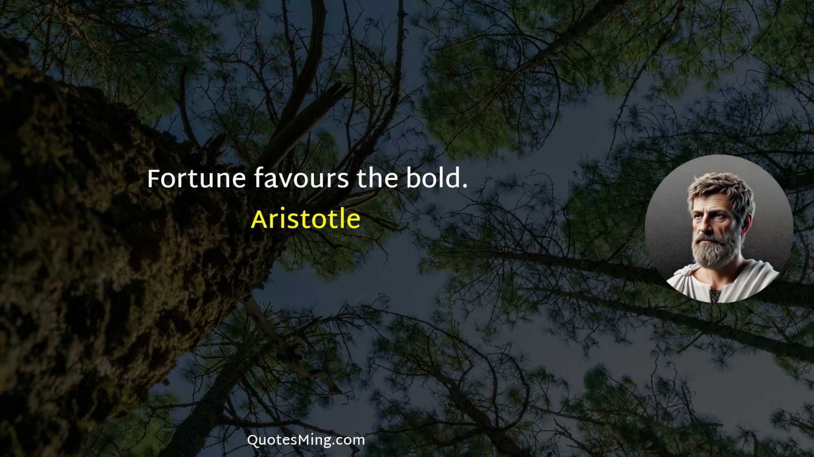 Fortune favours the bold