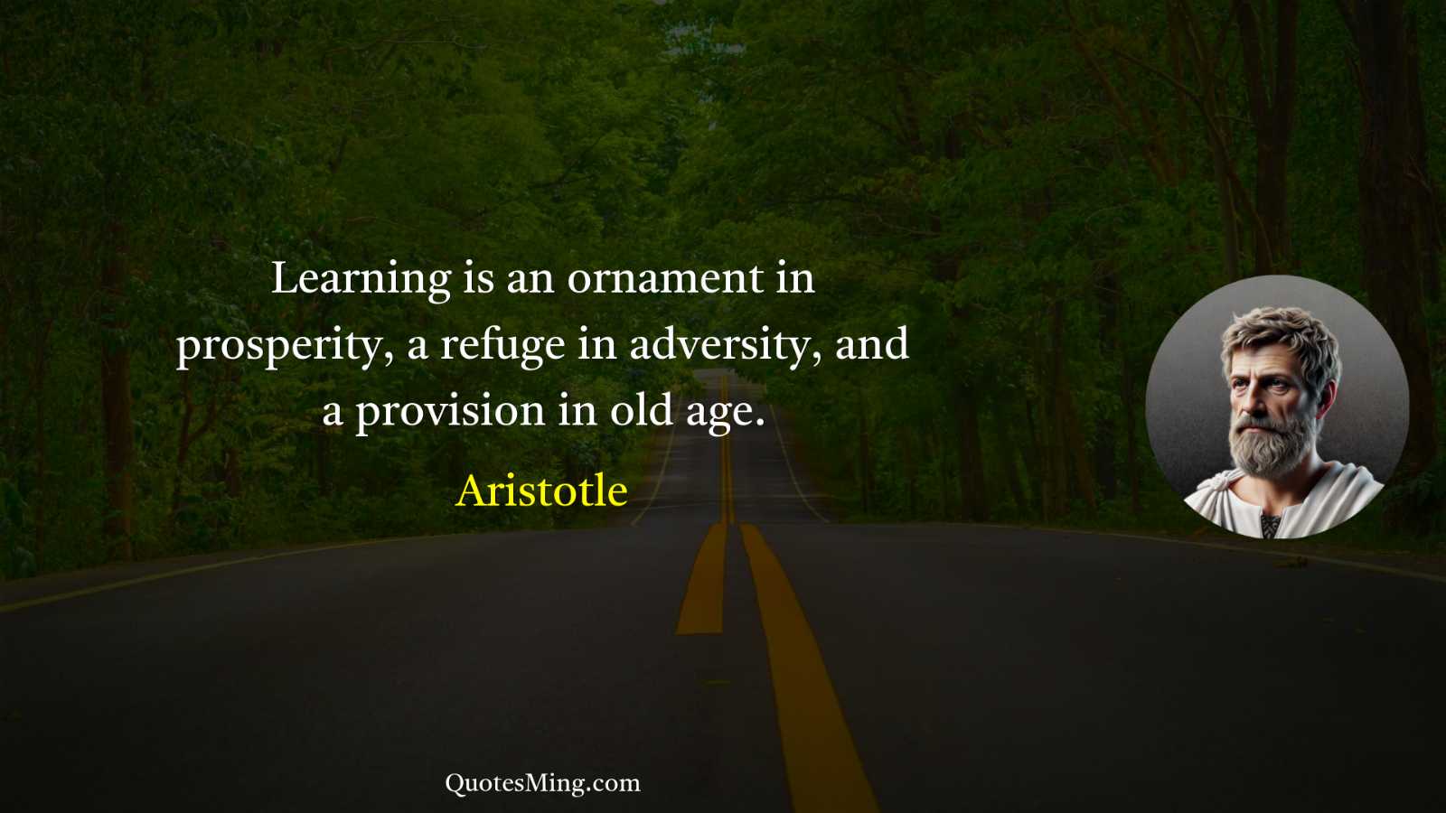 Learning is an ornament in prosperity a refuge in adversity