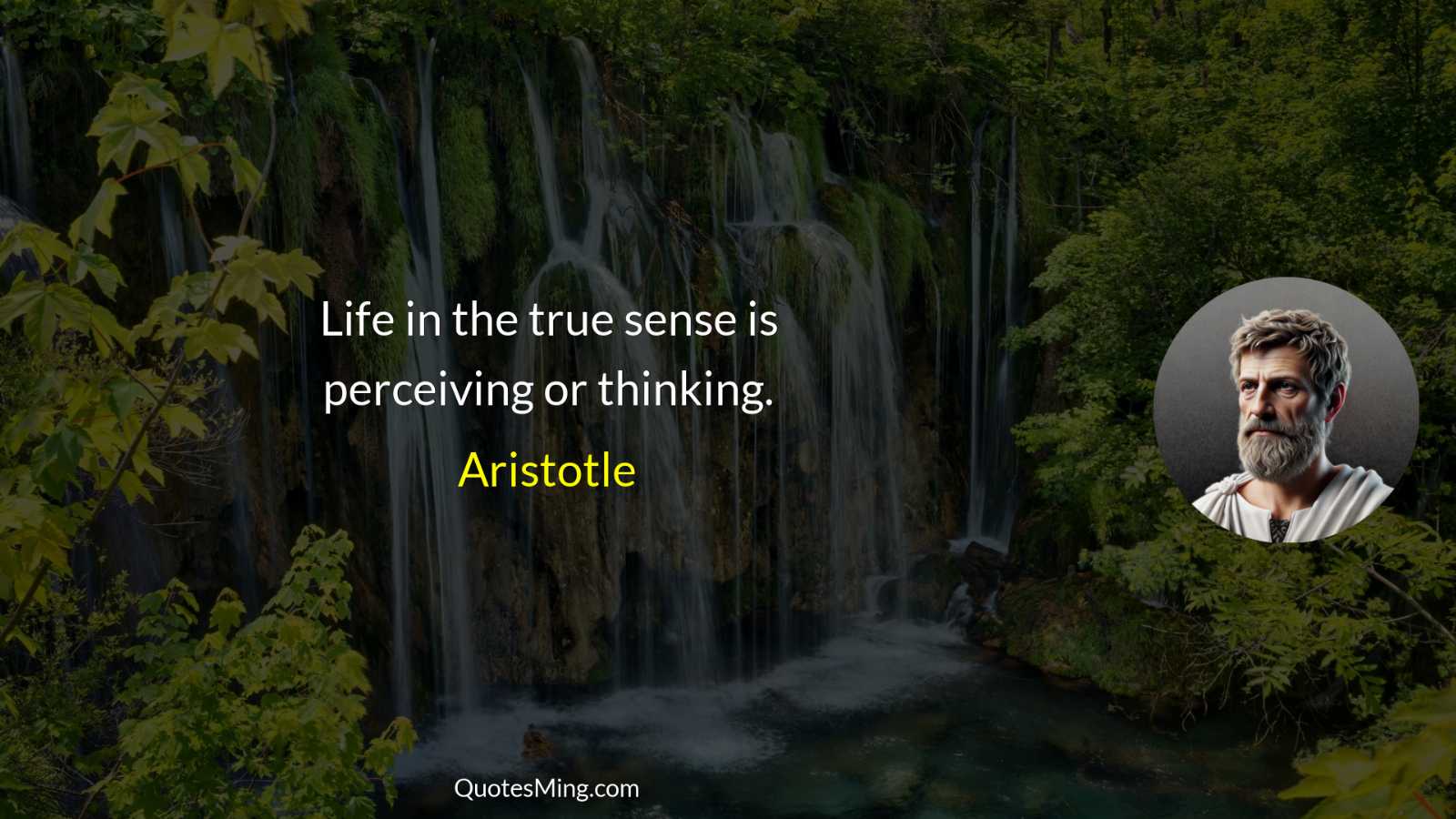 Life in the true sense is perceiving or thinking