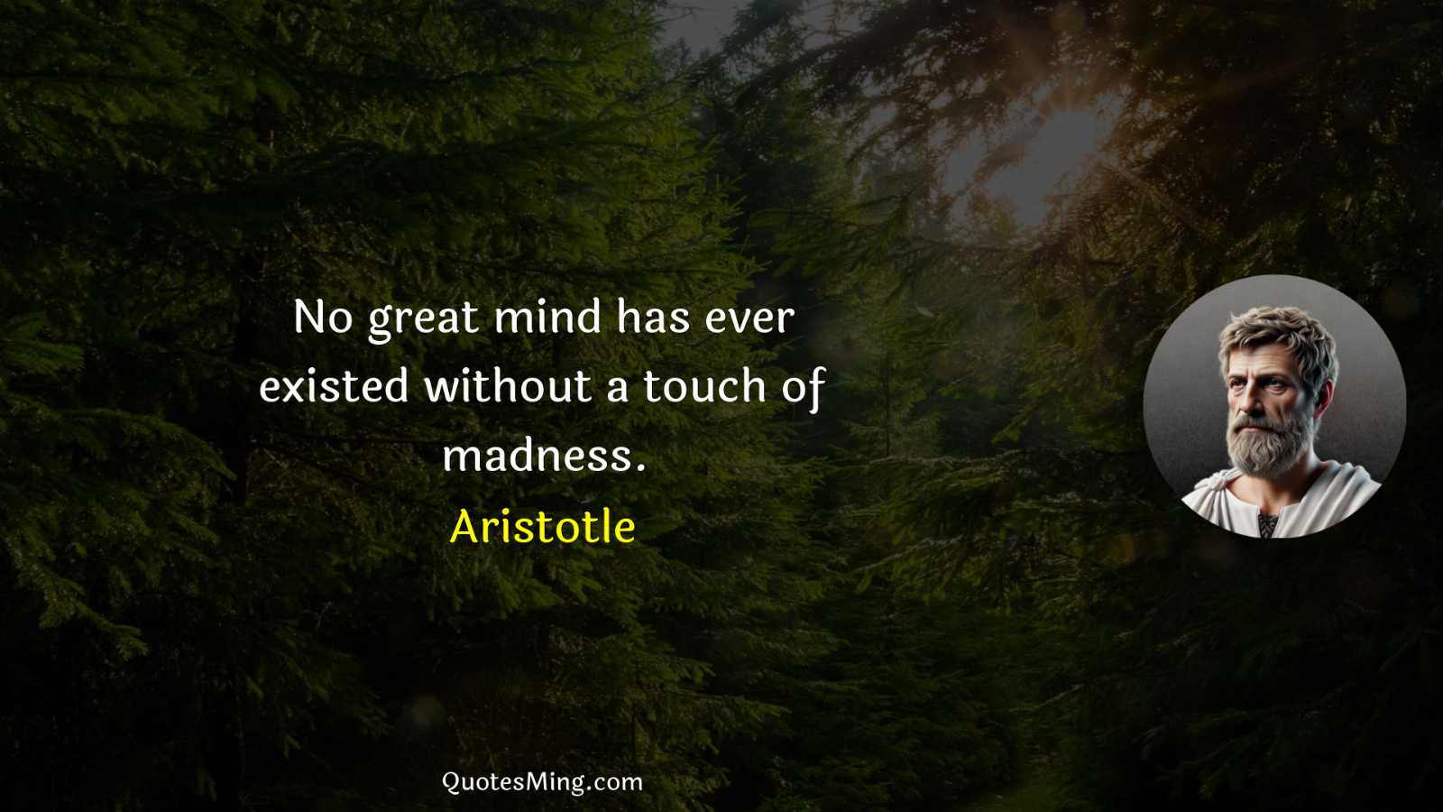 No great mind has ever existed without a touch of