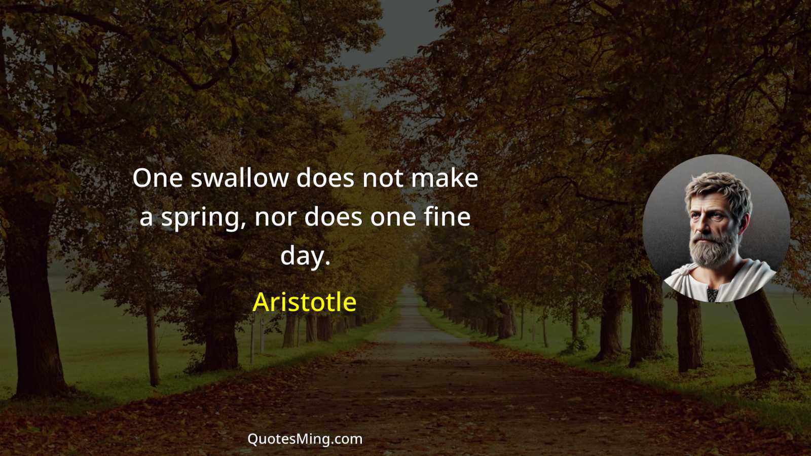 One swallow does not make a spring nor does one