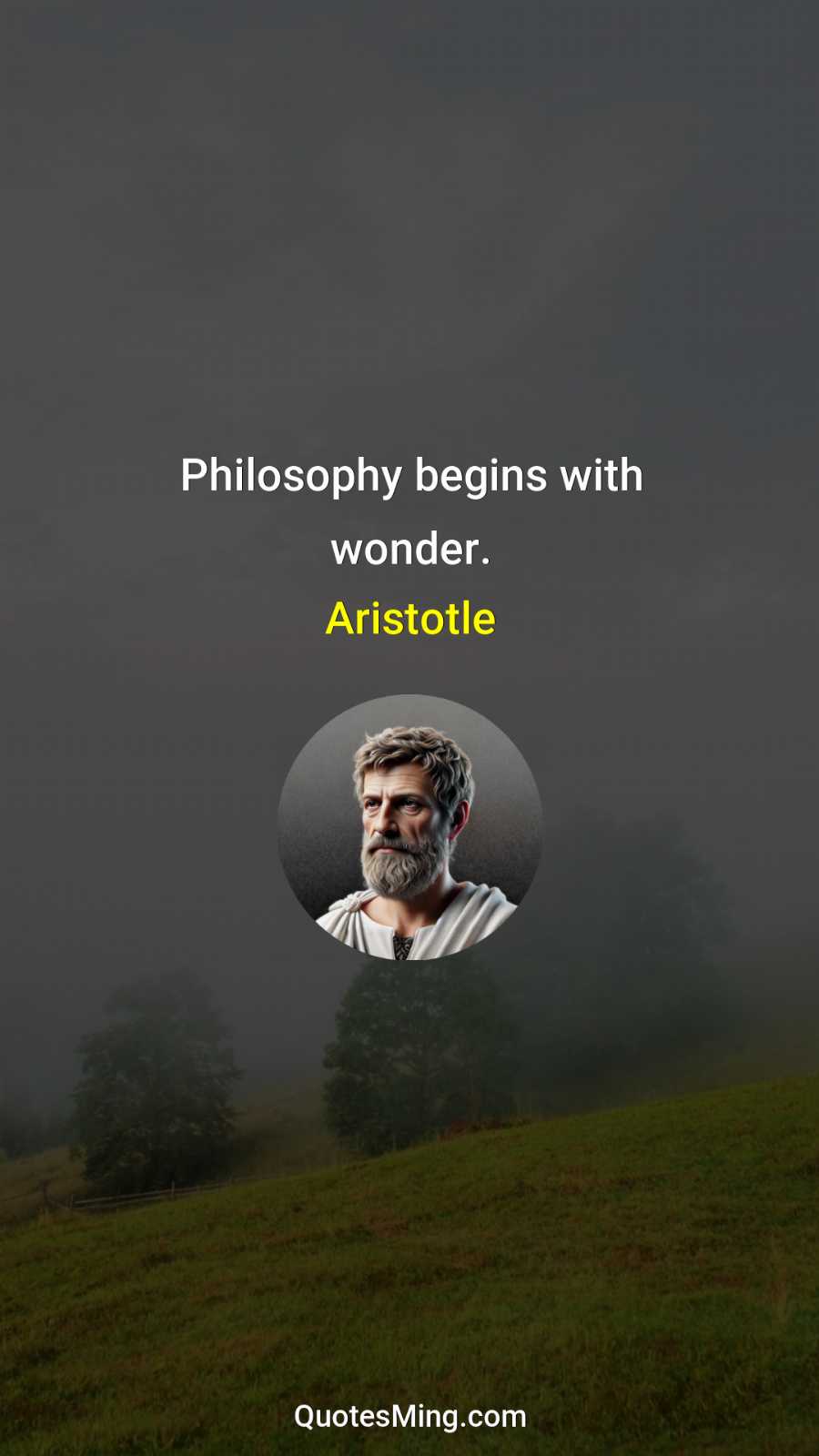 Philosophy begins with wonder