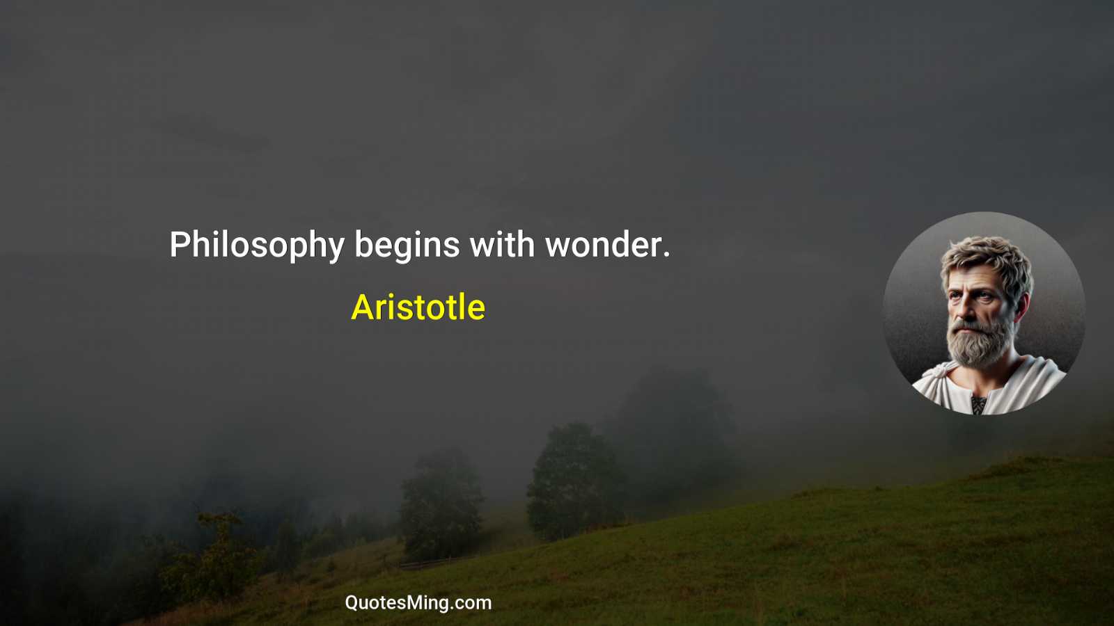 Philosophy begins with wonder