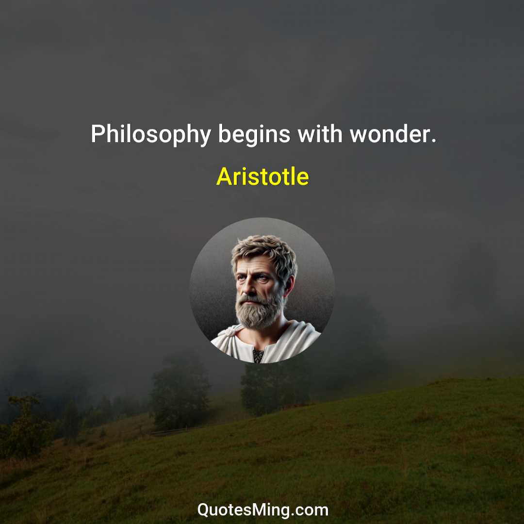 Philosophy begins with wonder