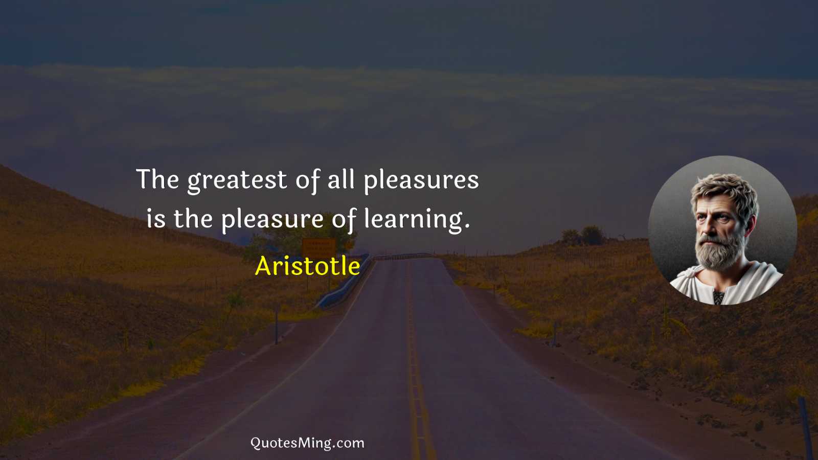 The greatest of all pleasures is the pleasure of learning