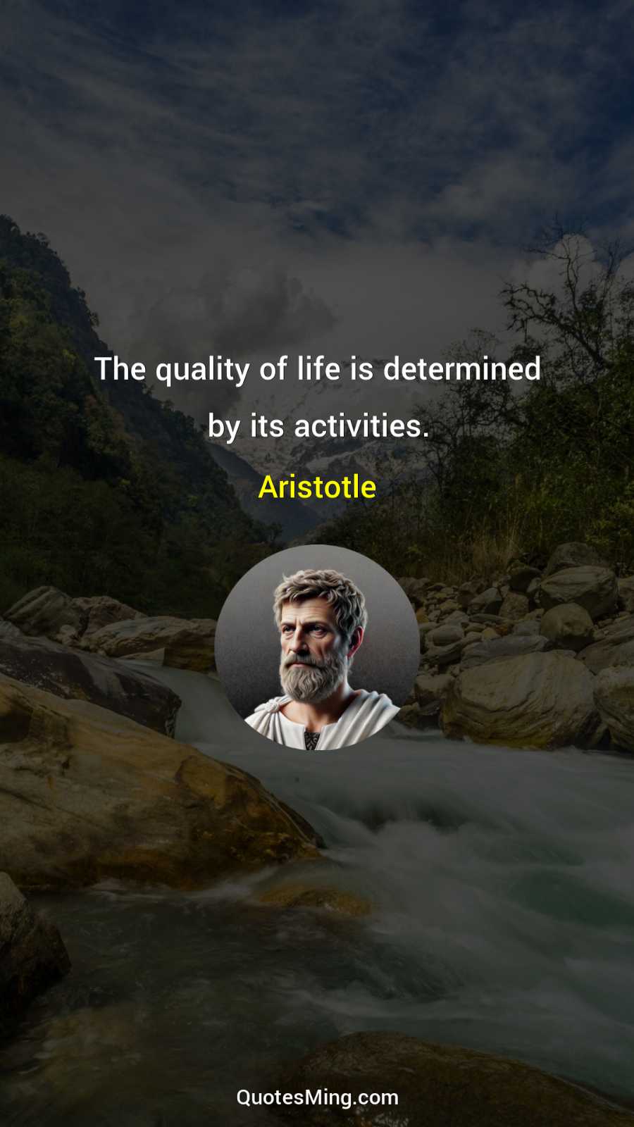 The quality of life is determined by its activities