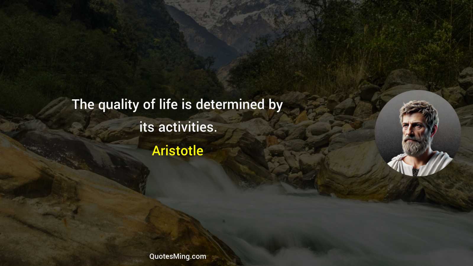 The quality of life is determined by its activities