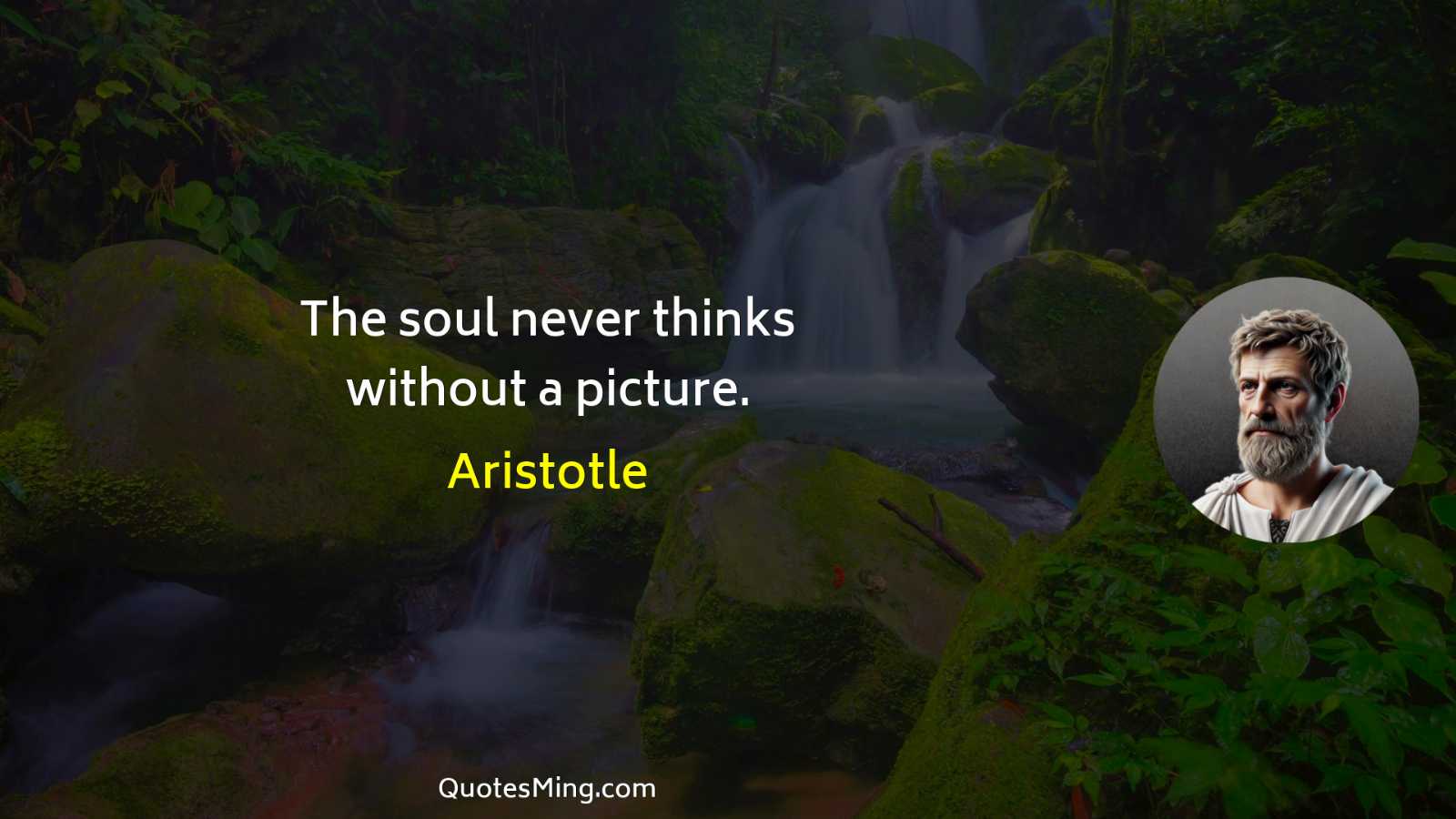 The soul never thinks without a picture