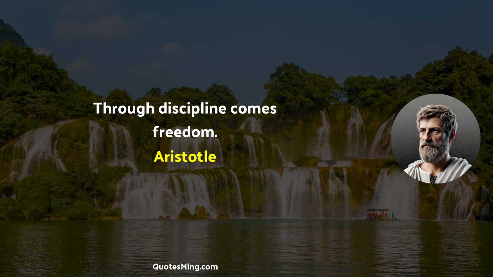 Through discipline comes freedom