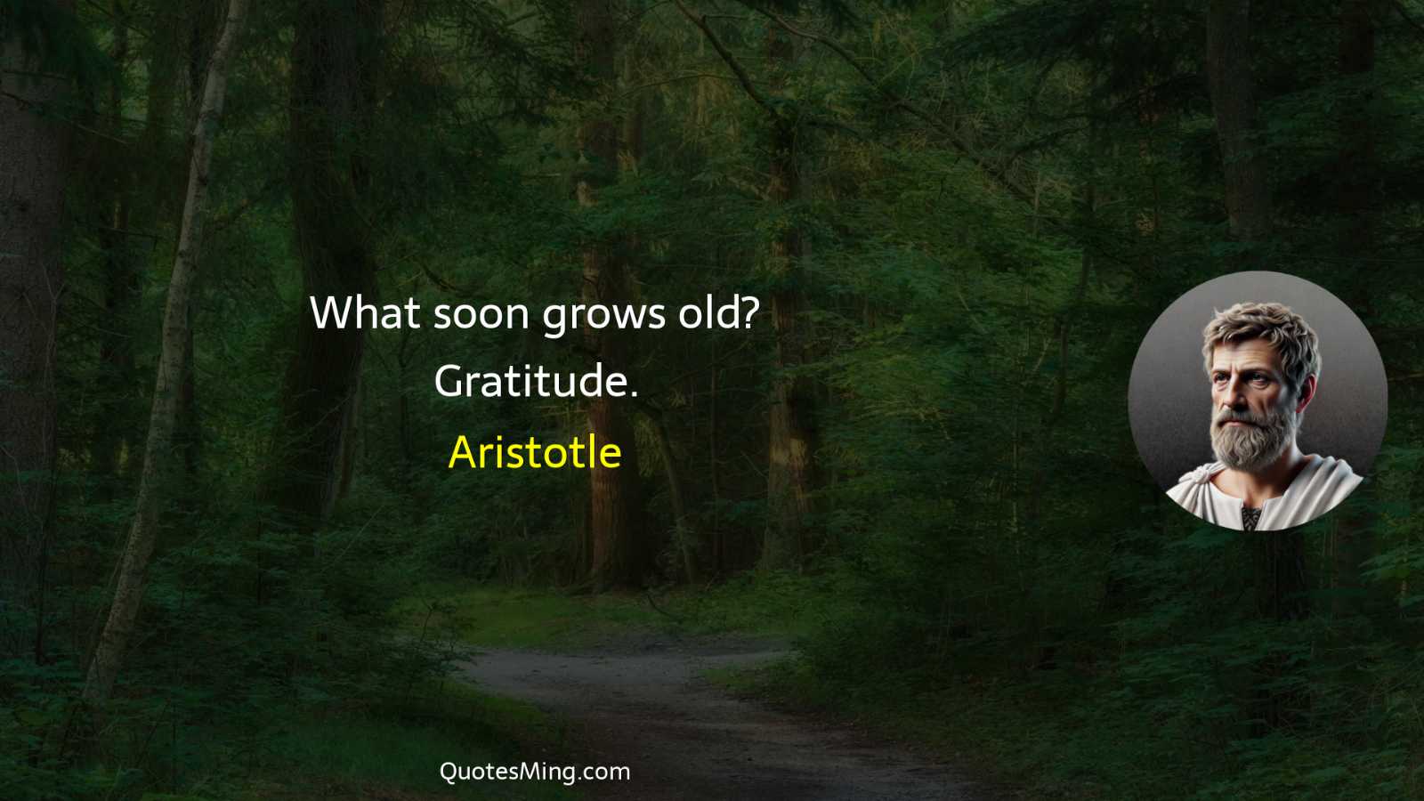 What soon grows old? Gratitude