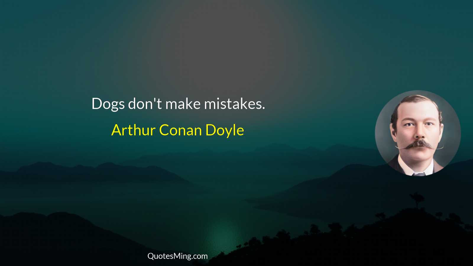 Dogs don't make mistakes