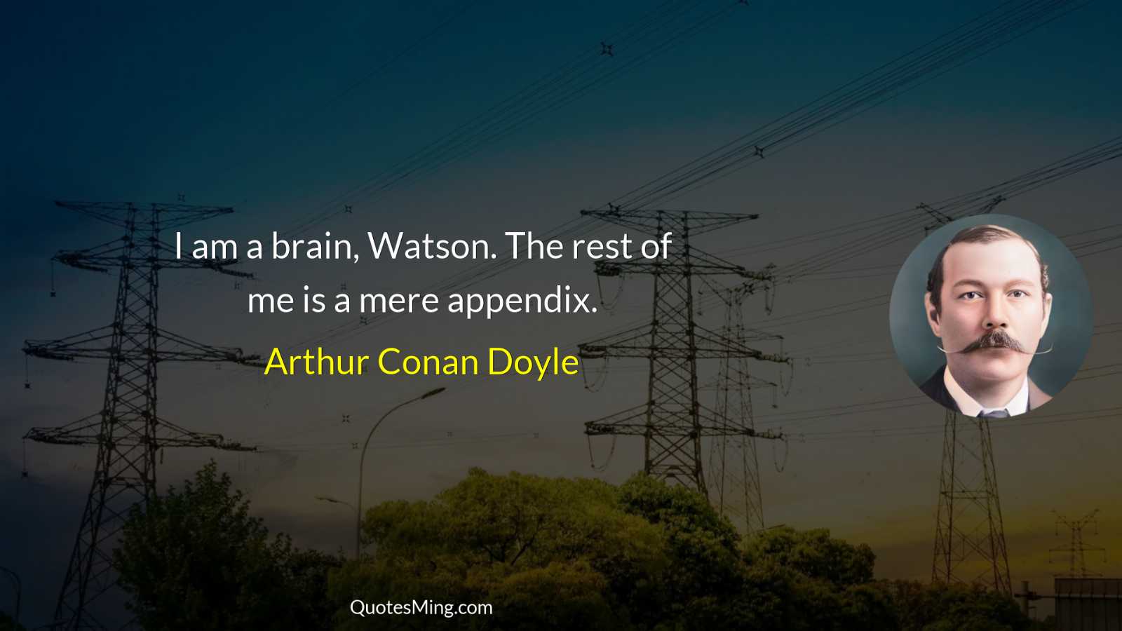 I am a brain Watson The rest of me is